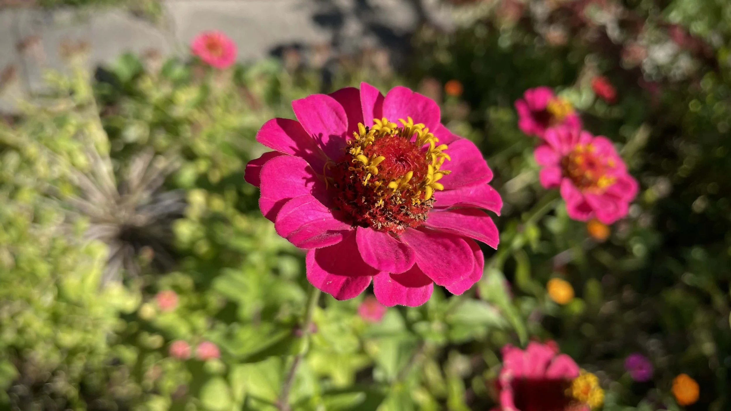 Sunday musings, October 22, 2023