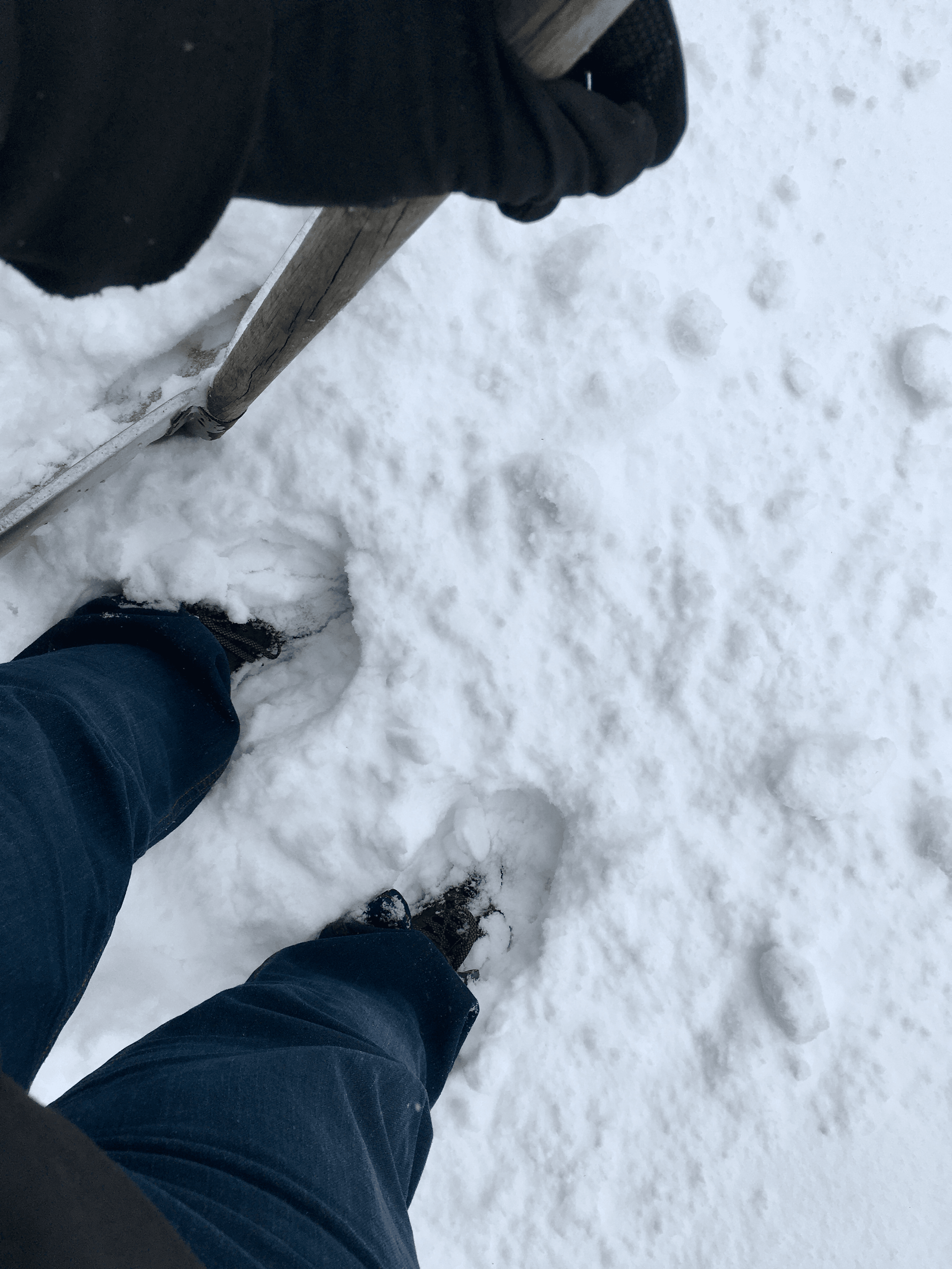 Notes from the bunker: progress, snow, work