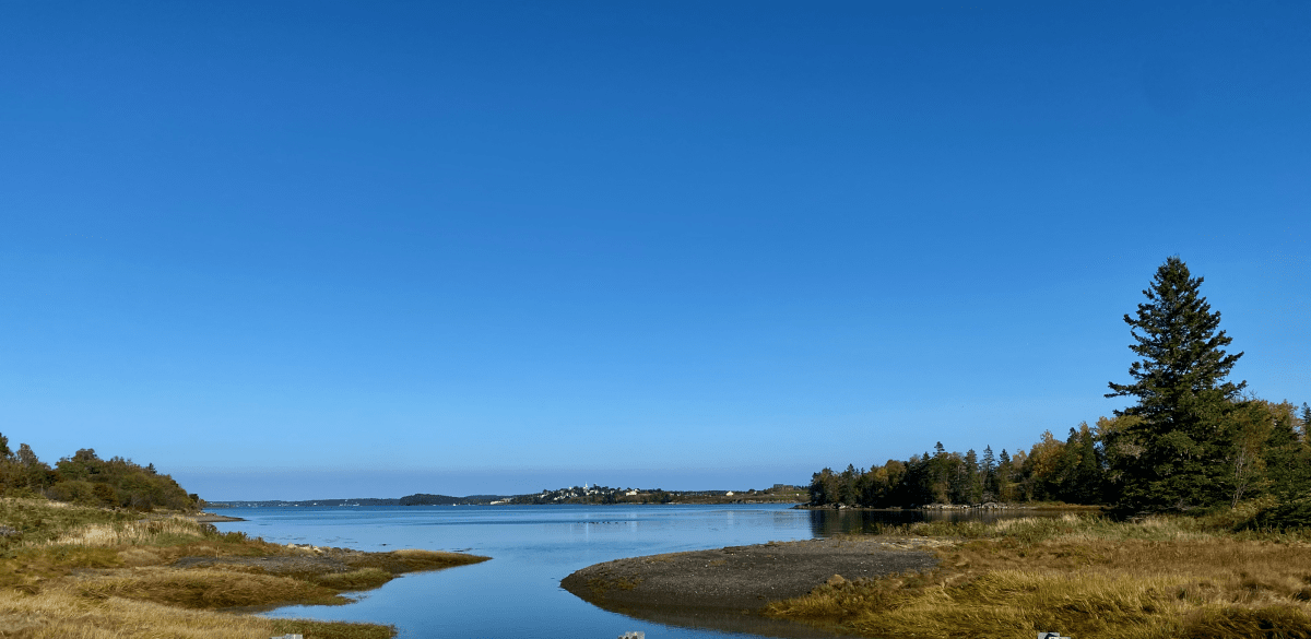 Washington County: Maine and the Black-Volk Festival