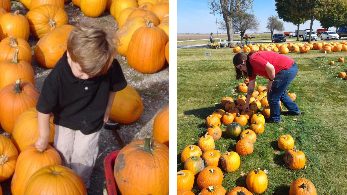 Casual leisure and pumpkins, Judi and Leo