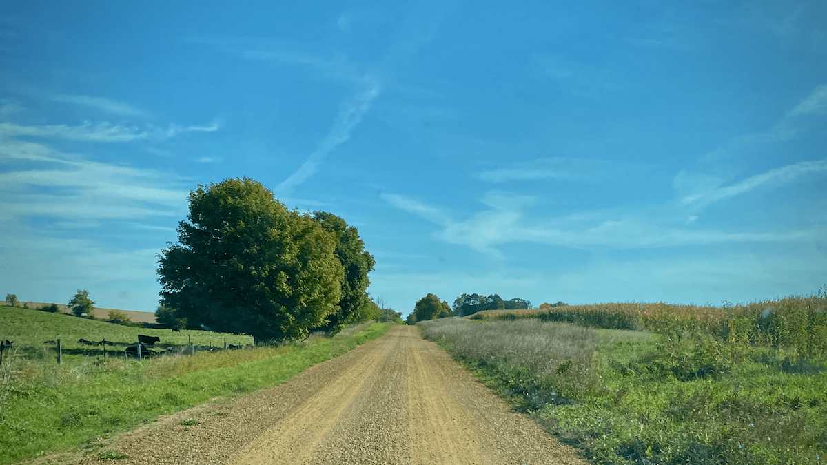 Wandering into Fall