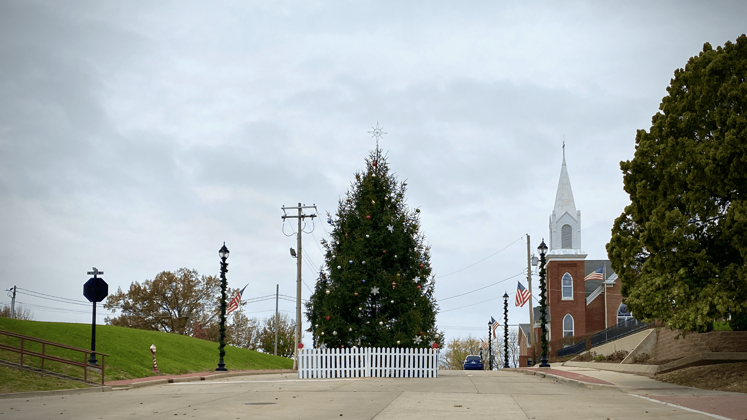 Calling all Christmas trees in the middle of the road!