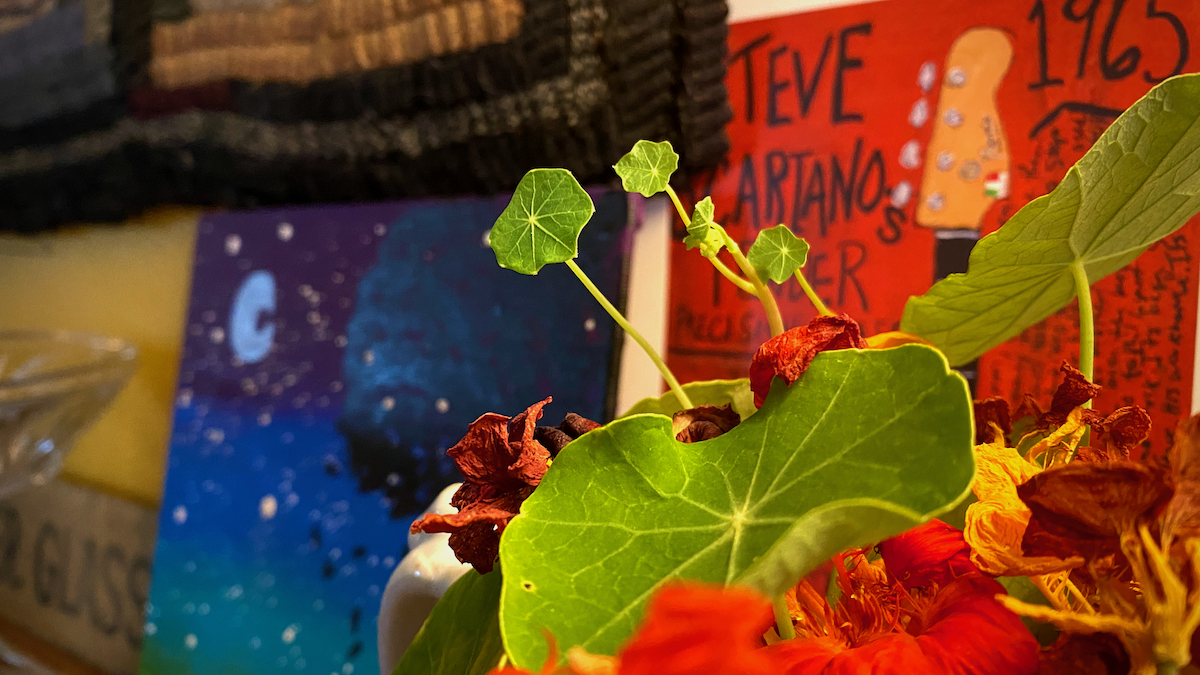 In which tiny little nasturtium leaves inspire me