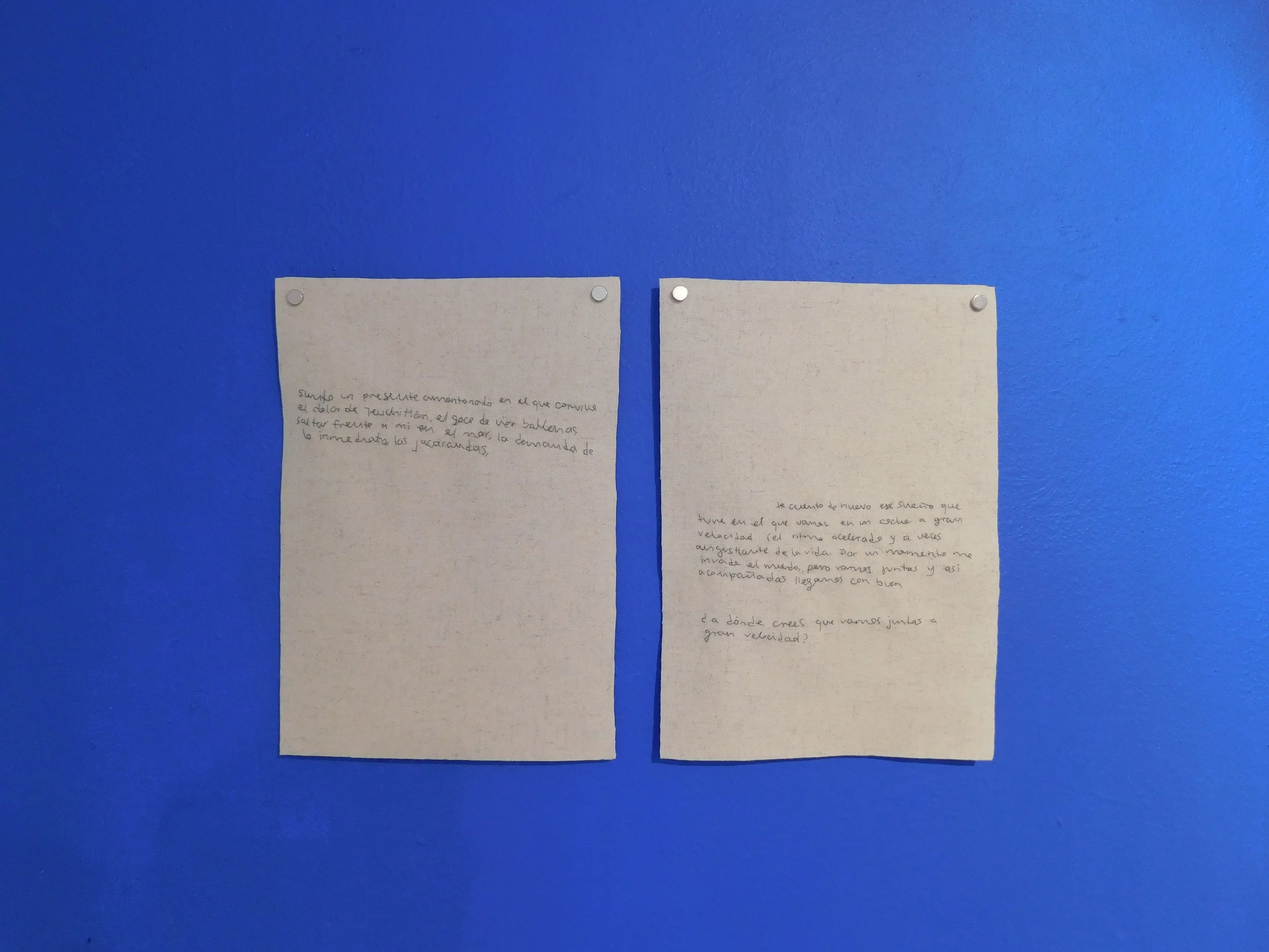 juntas a gran velocidad_Casazza.jpeg