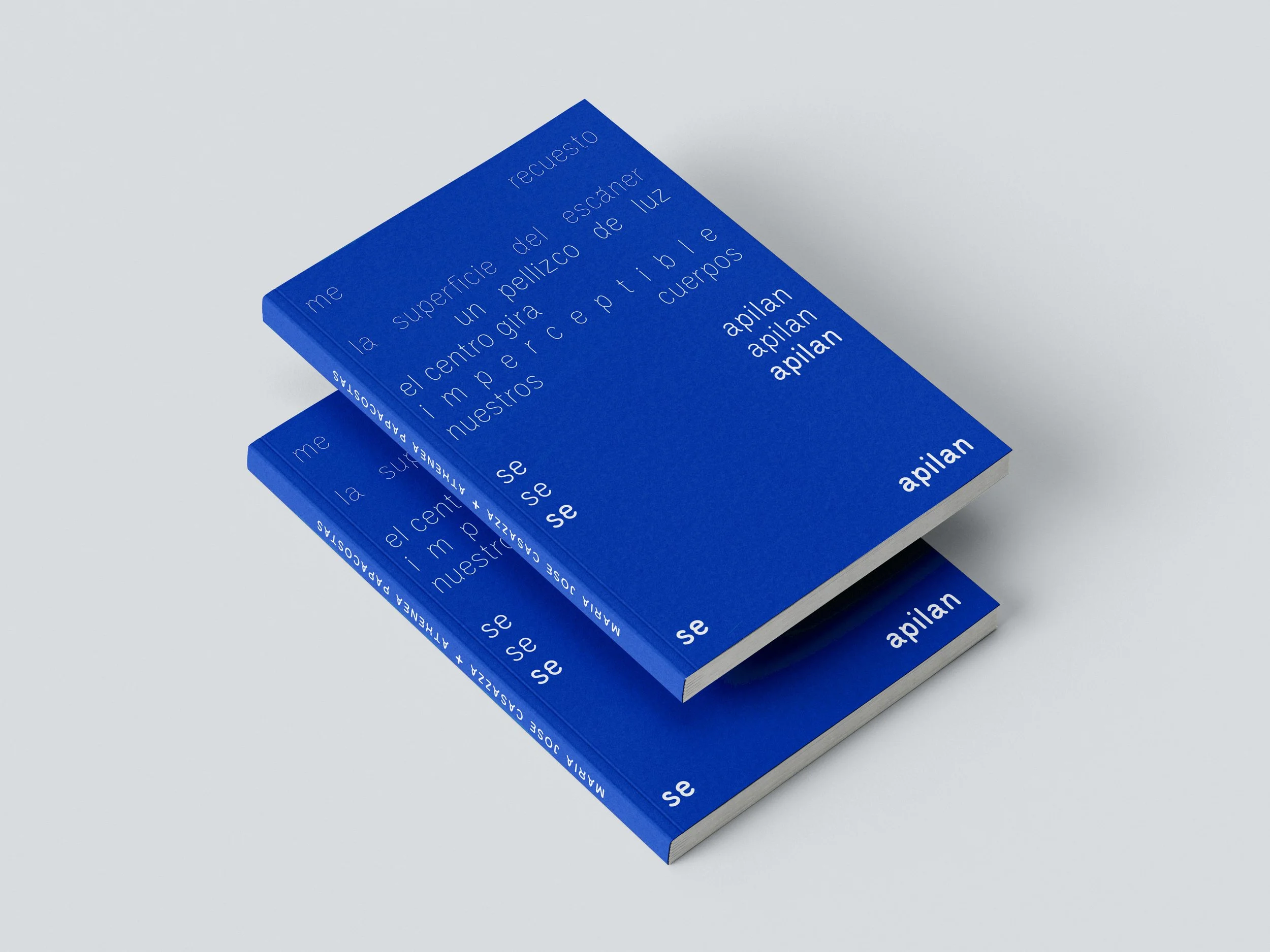 Se apilan_Casazza+Papacostas_2.JPEG