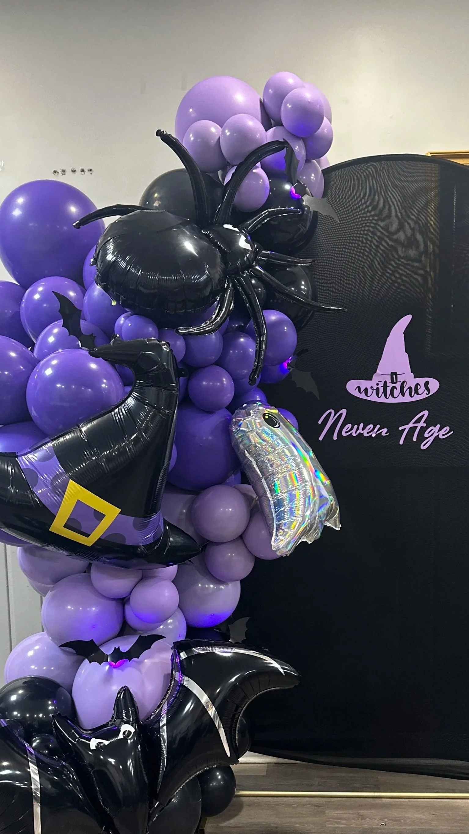 Single Arch Two Color Balloon and Backdrops Display