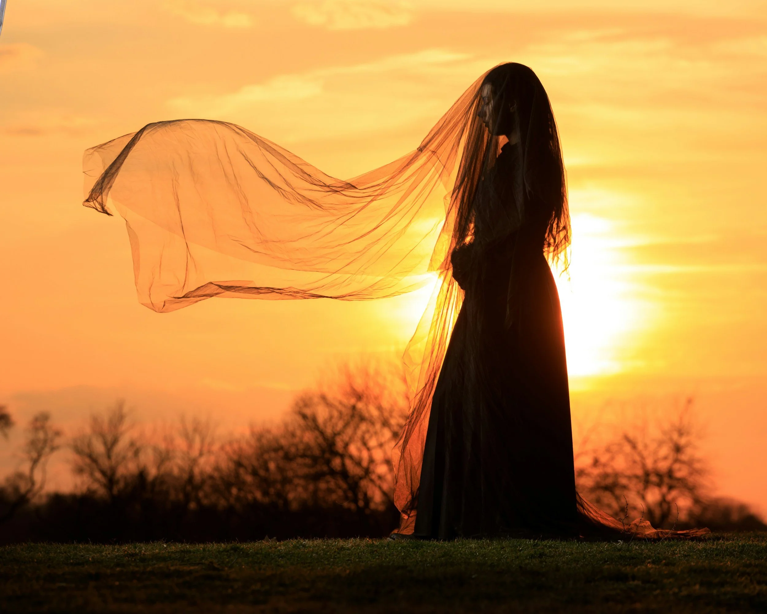 The Fire Behind the Veil: My Mars Return in Scorpio