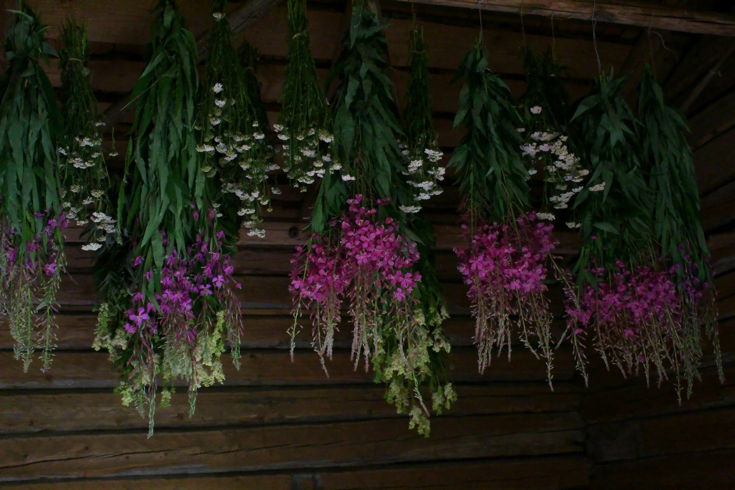 Hanging bunches of colorful flowers and greenery from a wooden ceiling.