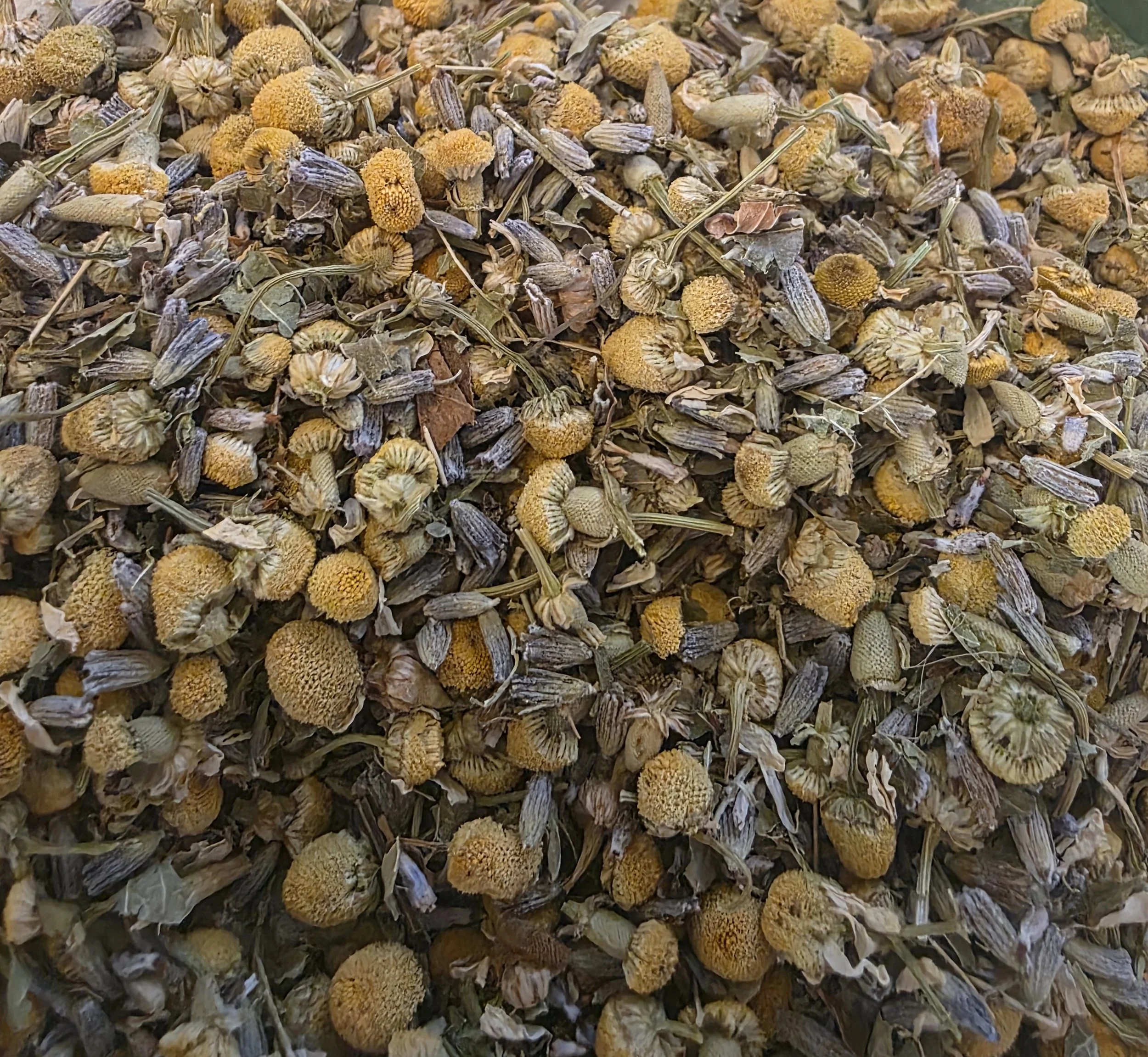 Lavender Dream