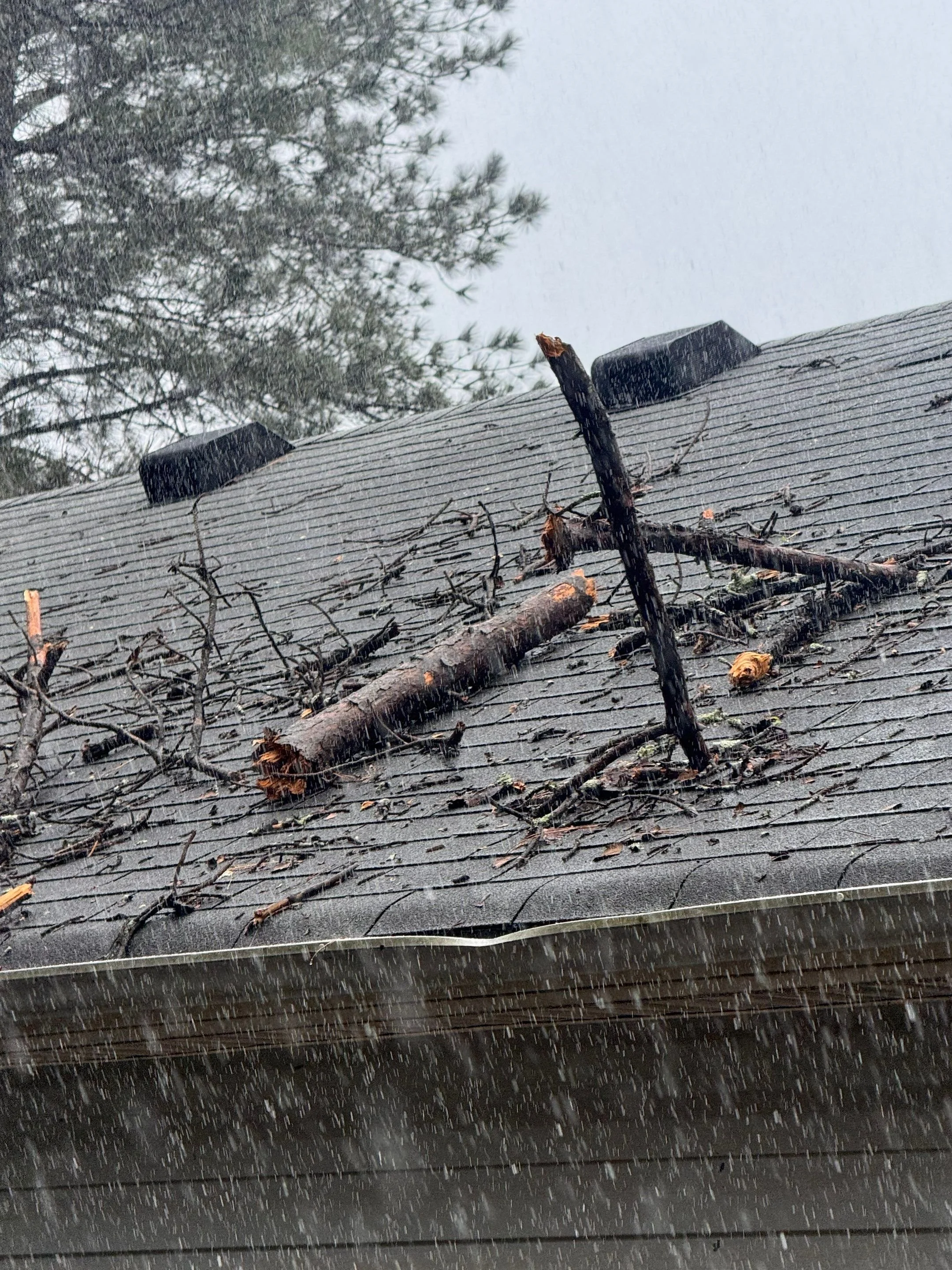 Fallen tree limbs and debris resting on a residential asphalt shingle roof during a severe rainstorm in Rome, Georgia. Oak Ridge Roofing provides fast emergency tarping and code-compliant storm damage restoration services.