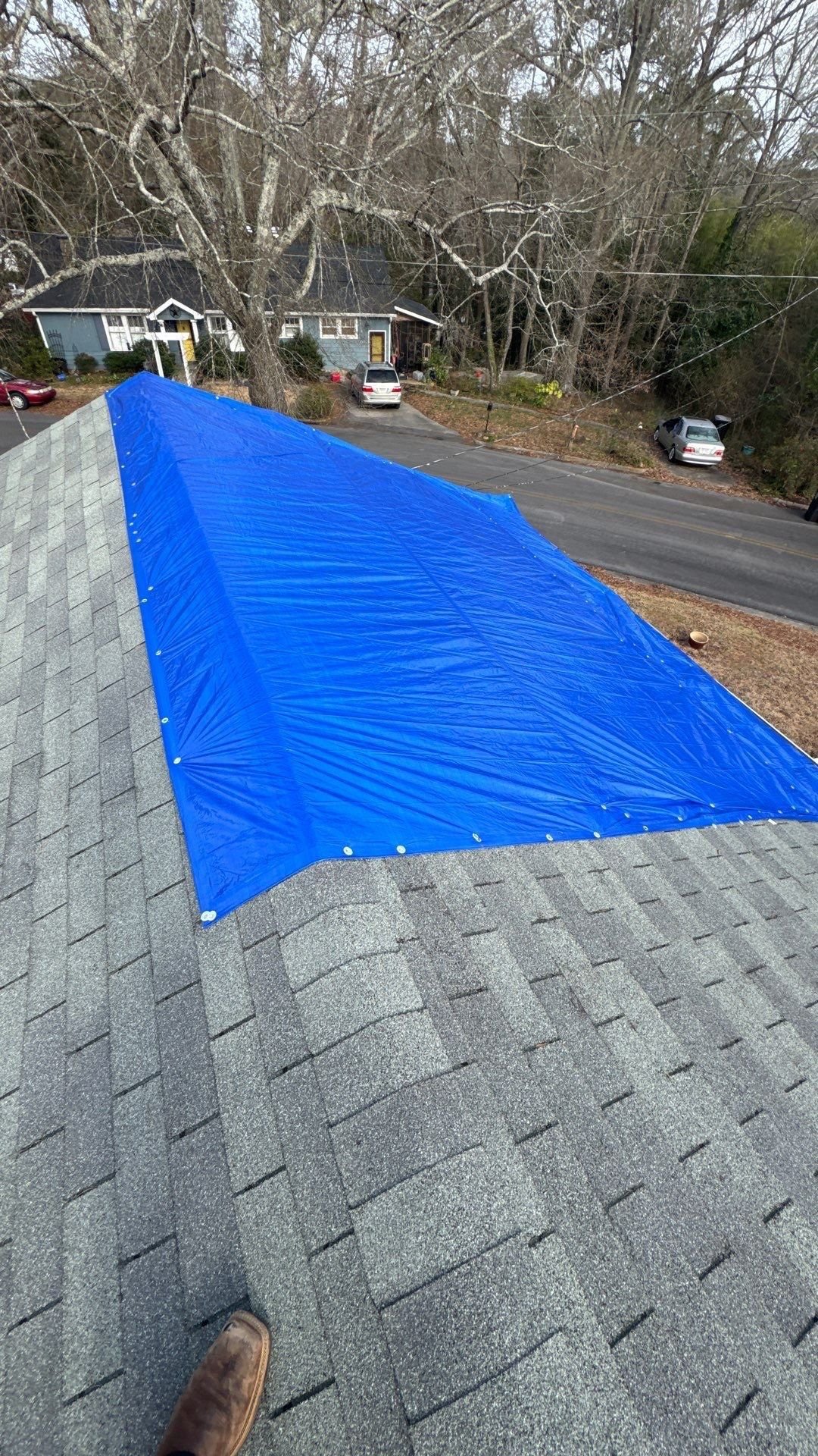 9e6b1dda-5953-4492-a279-1a9295675be2.jpg