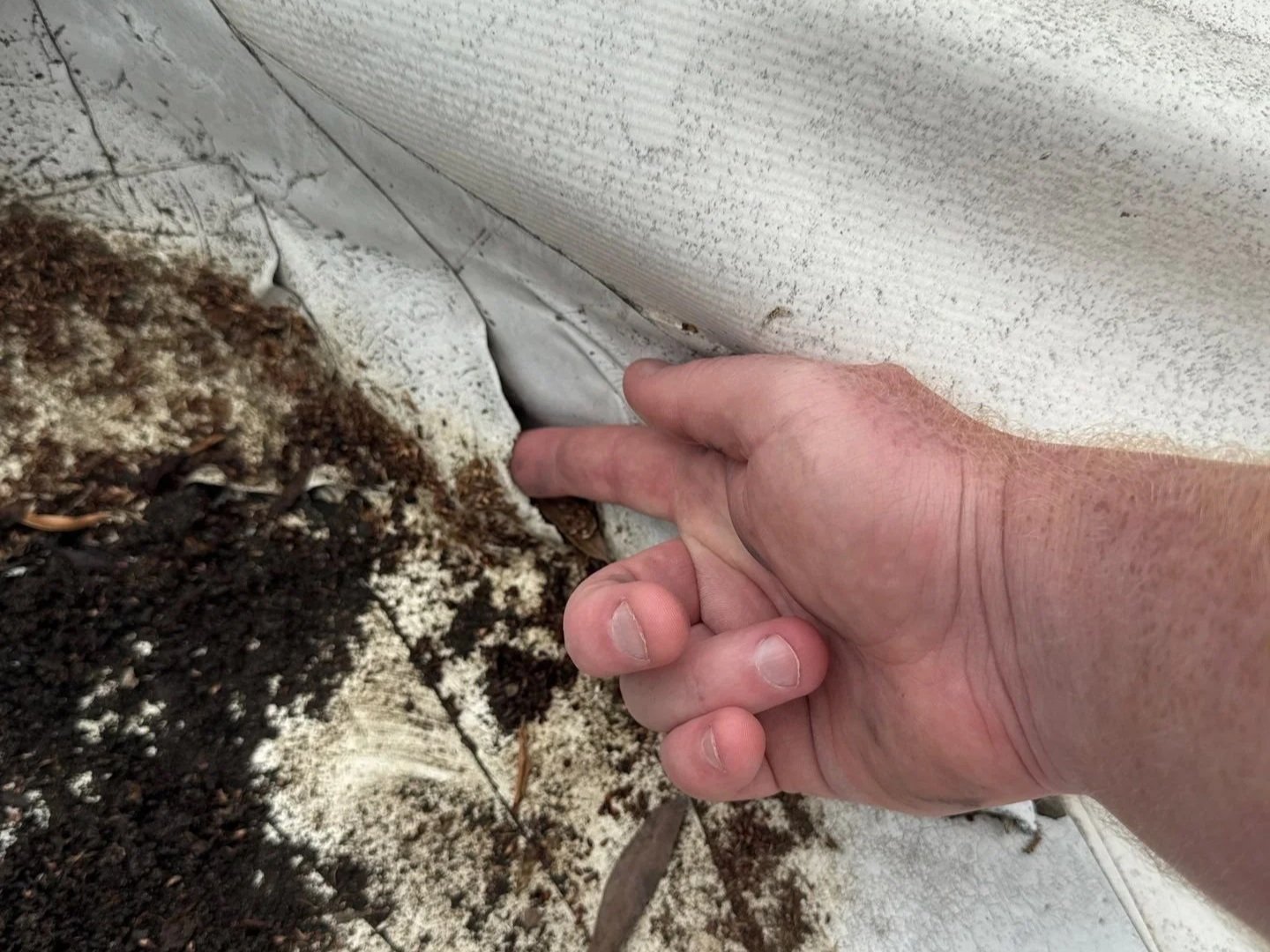 commercial-roof-tpo-leak-found-repair-rome-ga.jpg