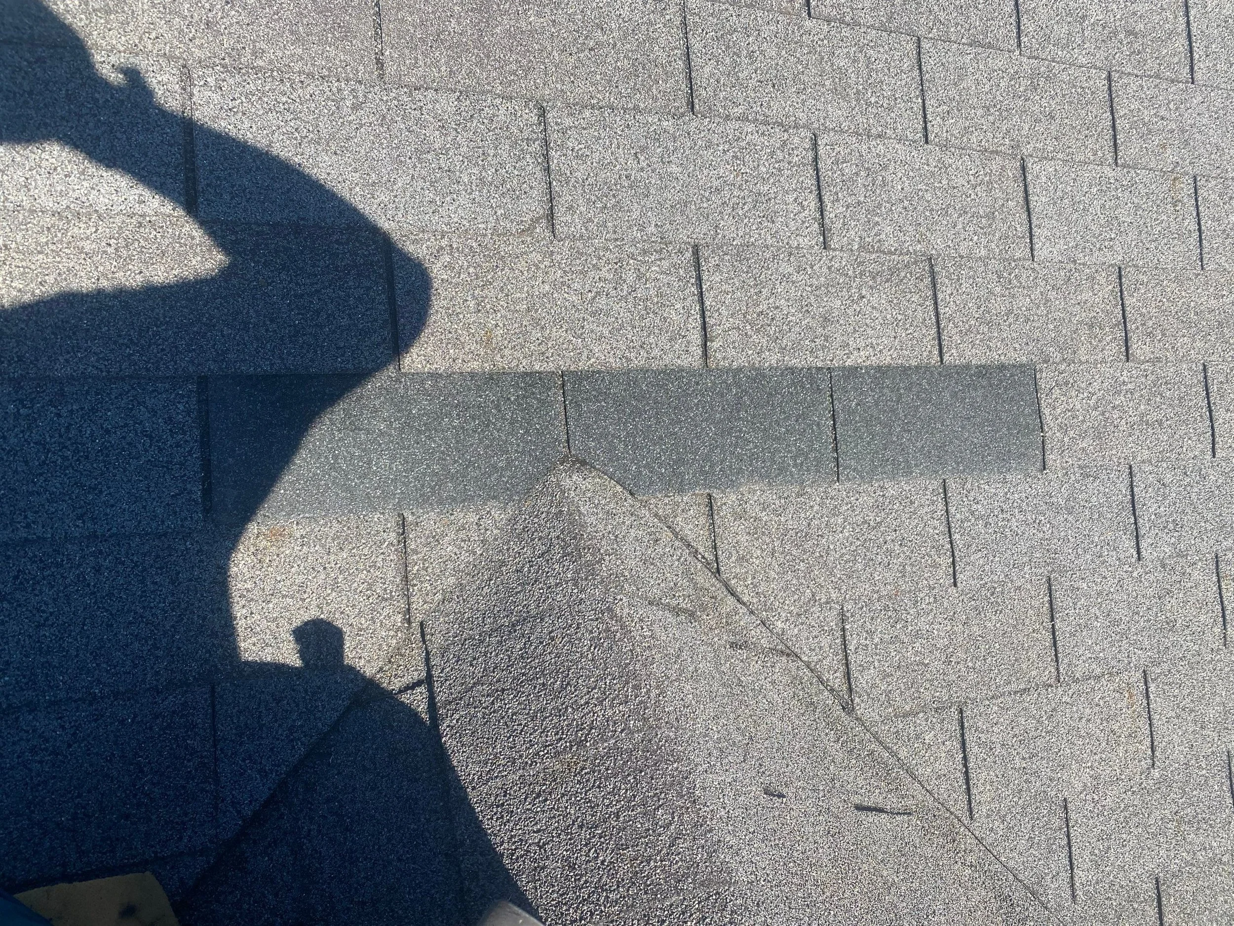 b4961fd0-a29b-4ec4-981c-91f52f1afe52.jpg