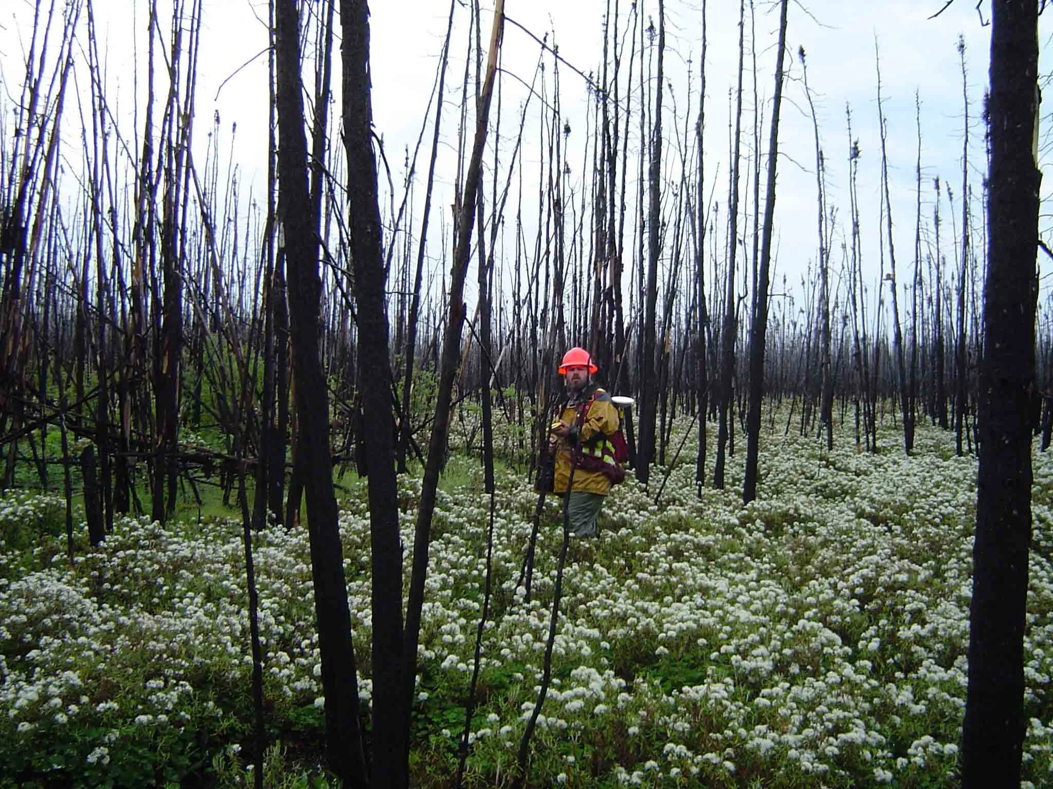 burnmike - 2005).jpg