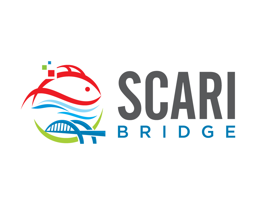 SCARI-Bridge.png