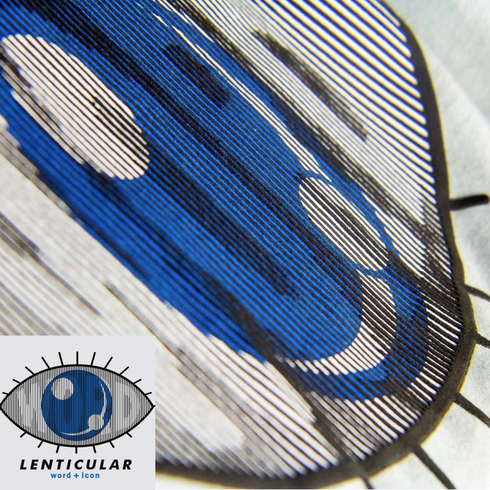 Lenticular Prints with ink!