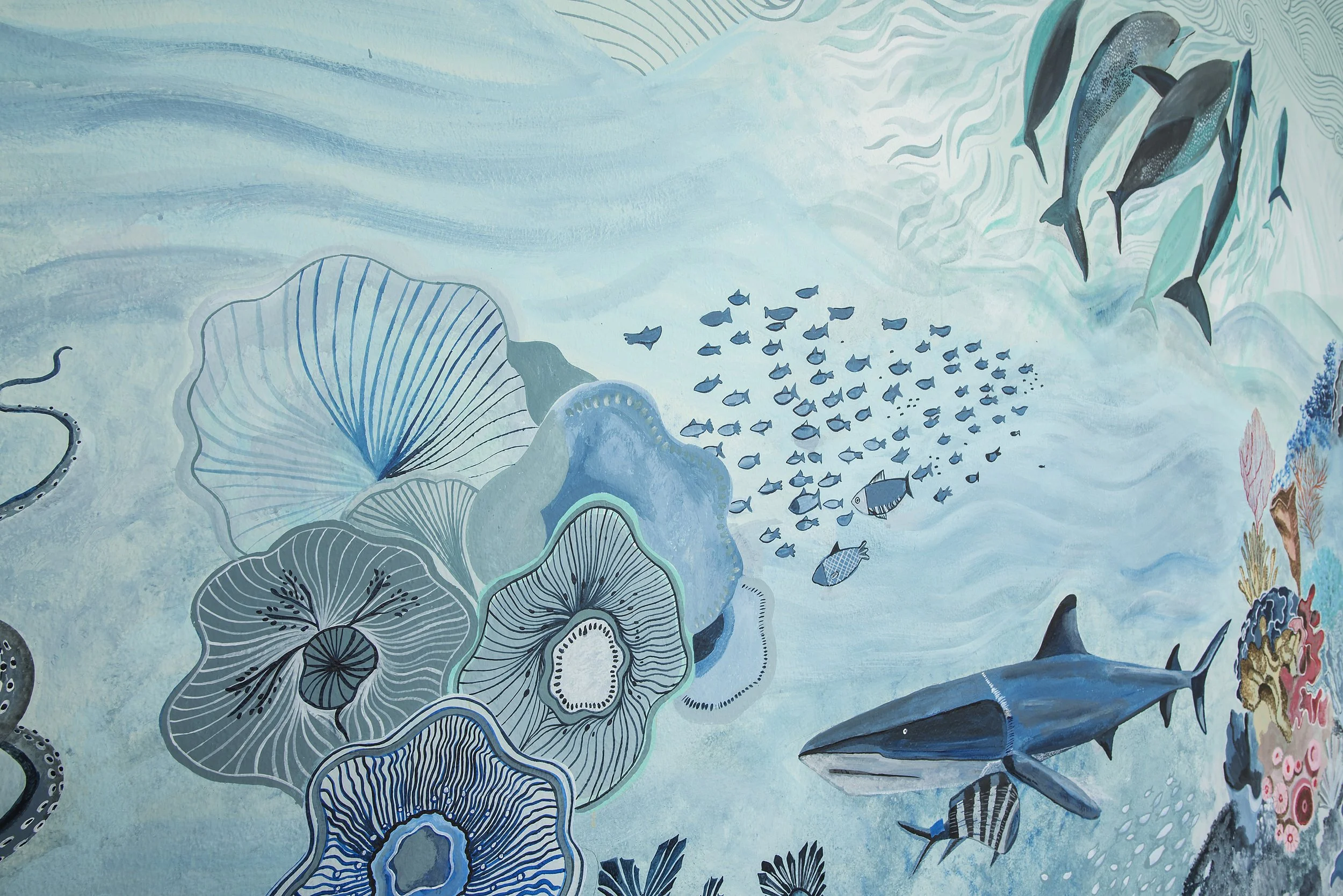 Abajo en el mar_Mural_Fotógrafo_11.jpg