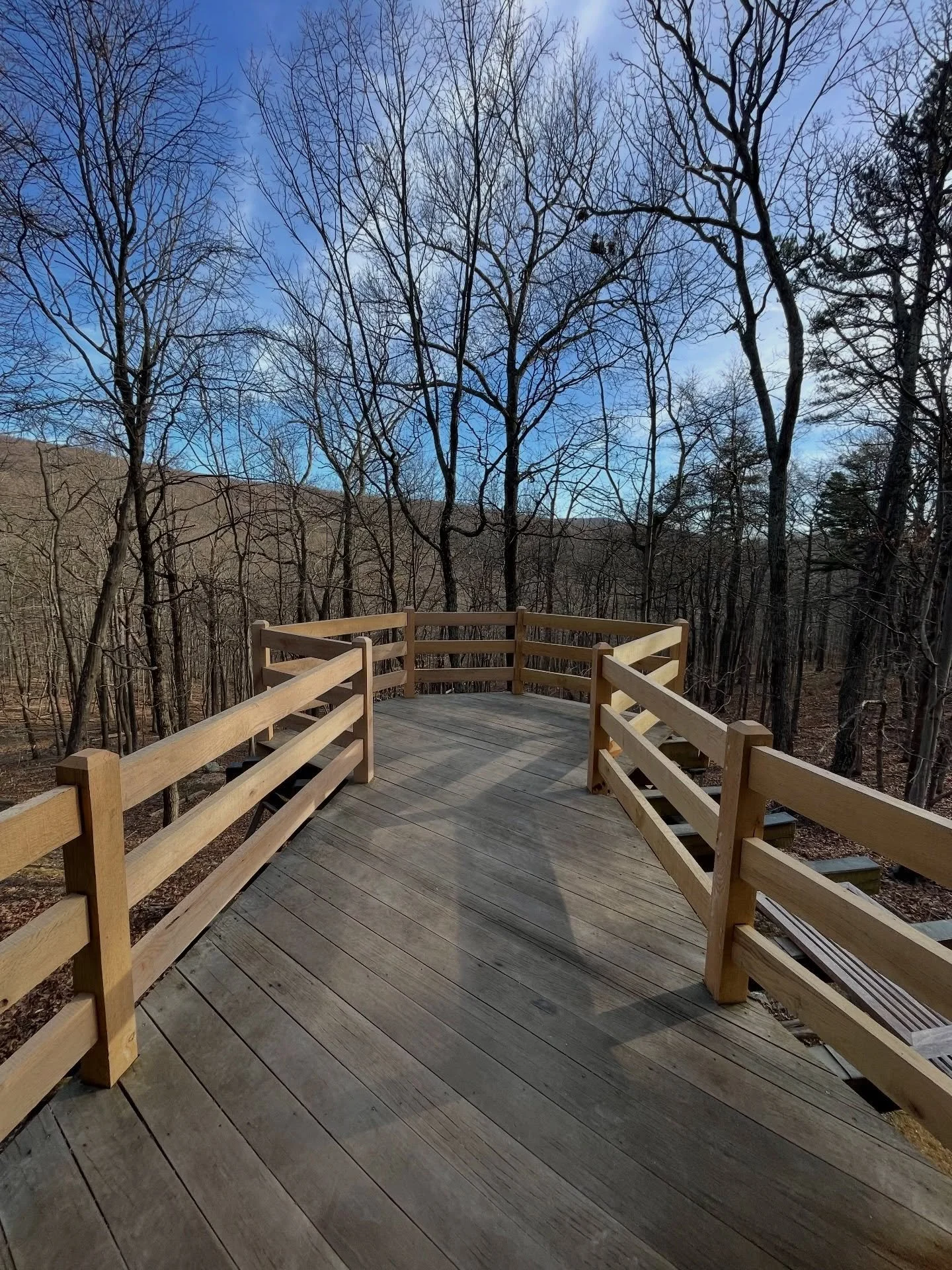 Mortice &amp; tenon oak railings
