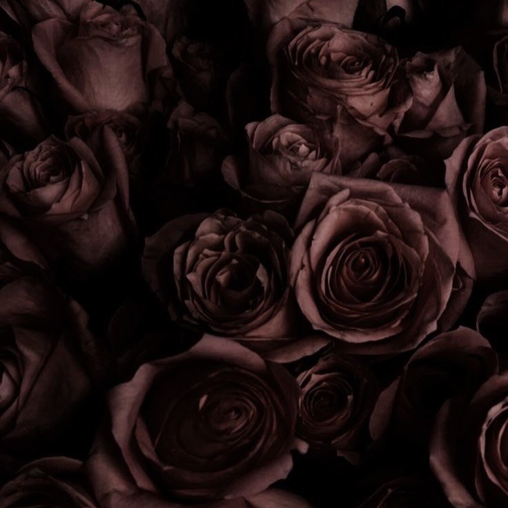 &hearts;

#wordsofwisdom #womensempowerment #feminineleadership  #queenscode #feminineenergy