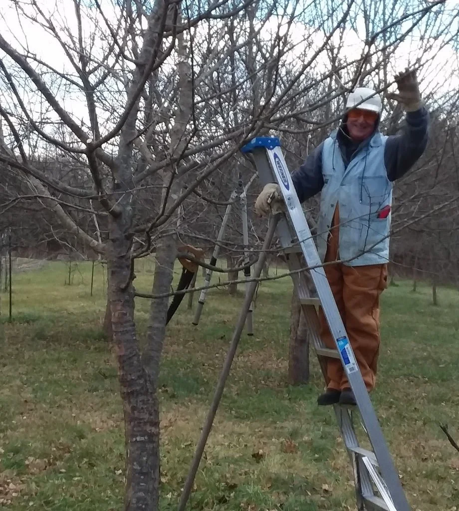 April 12 - Orcharding