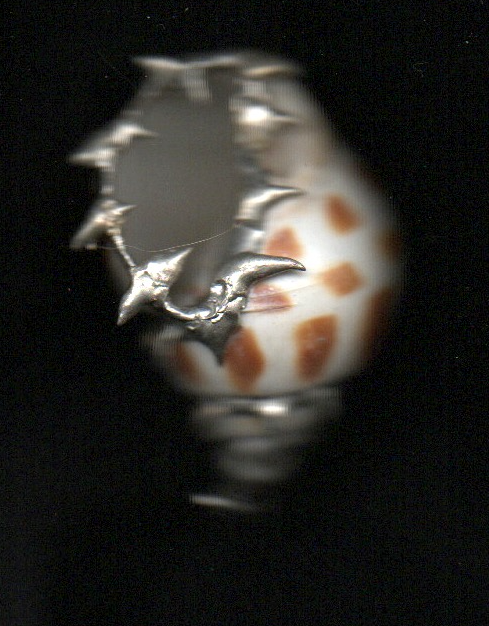 Field Specimen #2 Pendant