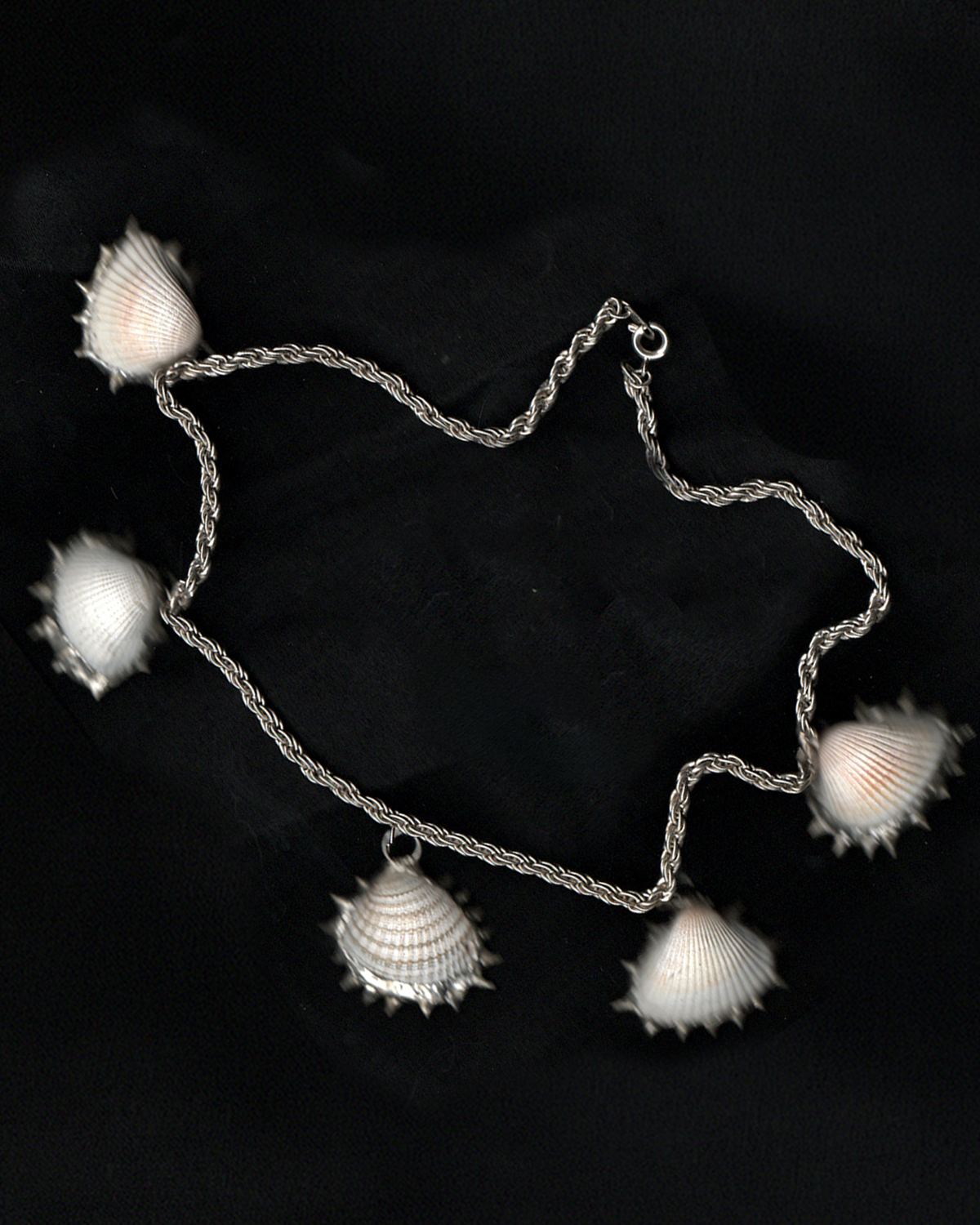 Conch Collective Choker
