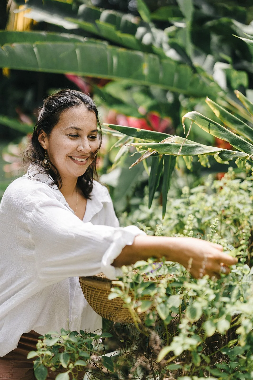 Meet Angélica Arauz, the cook behind Maga Nómada. Twenty years cooking intuitively from the land in Costa Rica’s Osa Peninsula — for retreats, private gatherings, and culinary experiences worldwide.