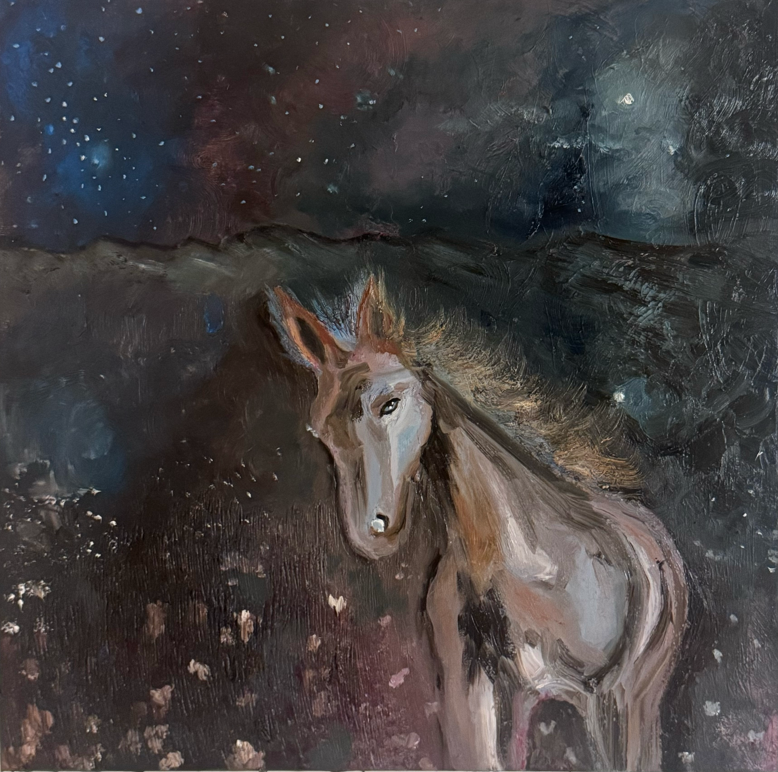 ''Sally'' Oil on Canvas 24"x24"