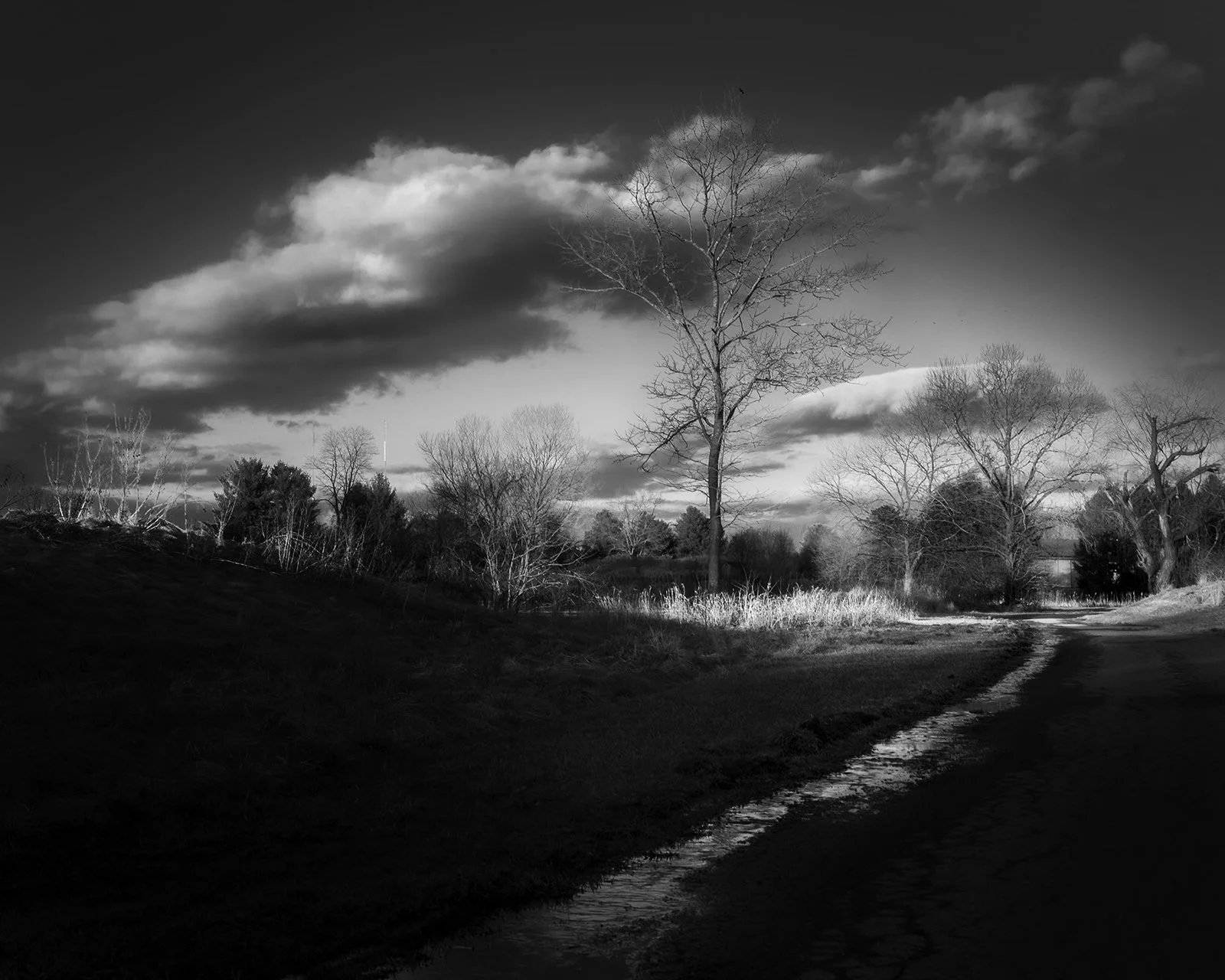 Wakefield Valley Trail in Westminster, MD