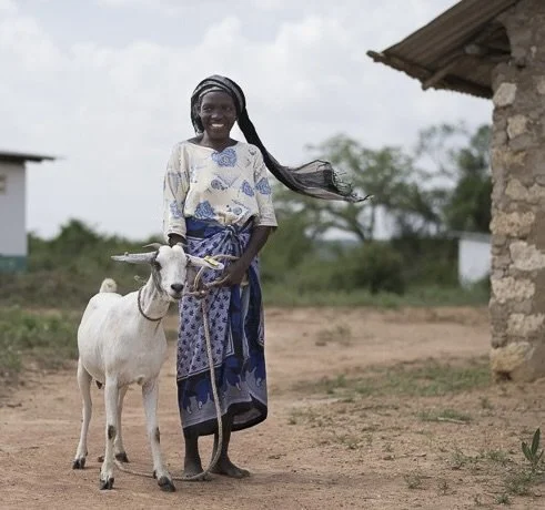 large goat and girl.jpg
