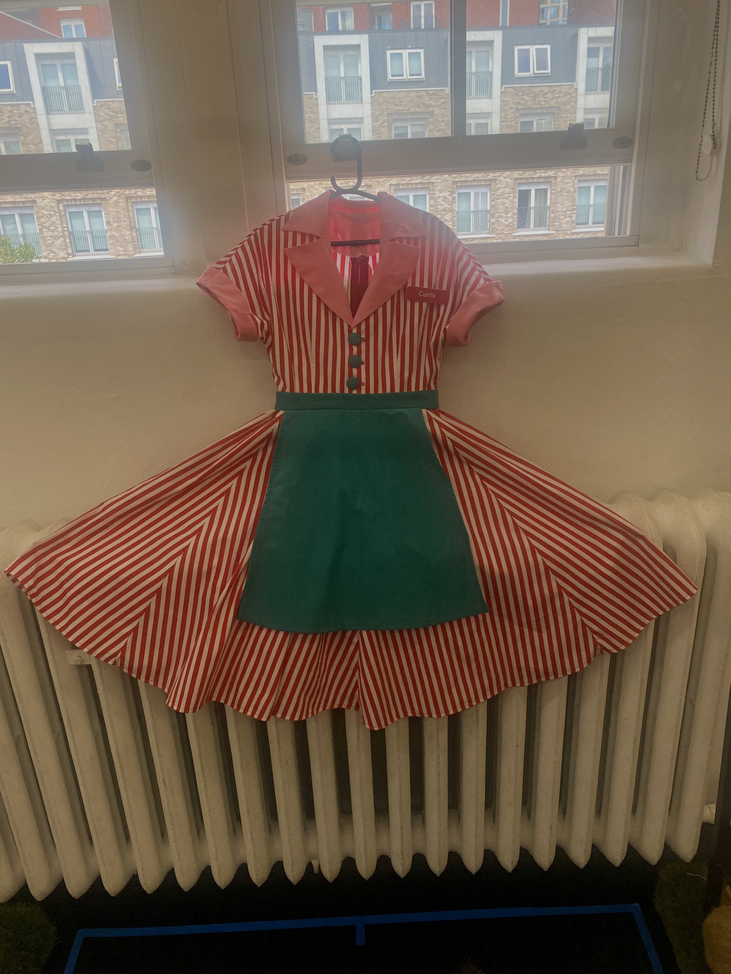 Bianca's Diner Dress Making - Final Dress