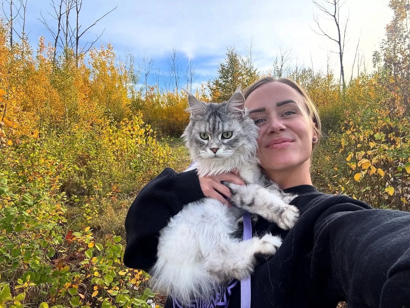 crispy fall walks with my passenger princess 👑🍂✨