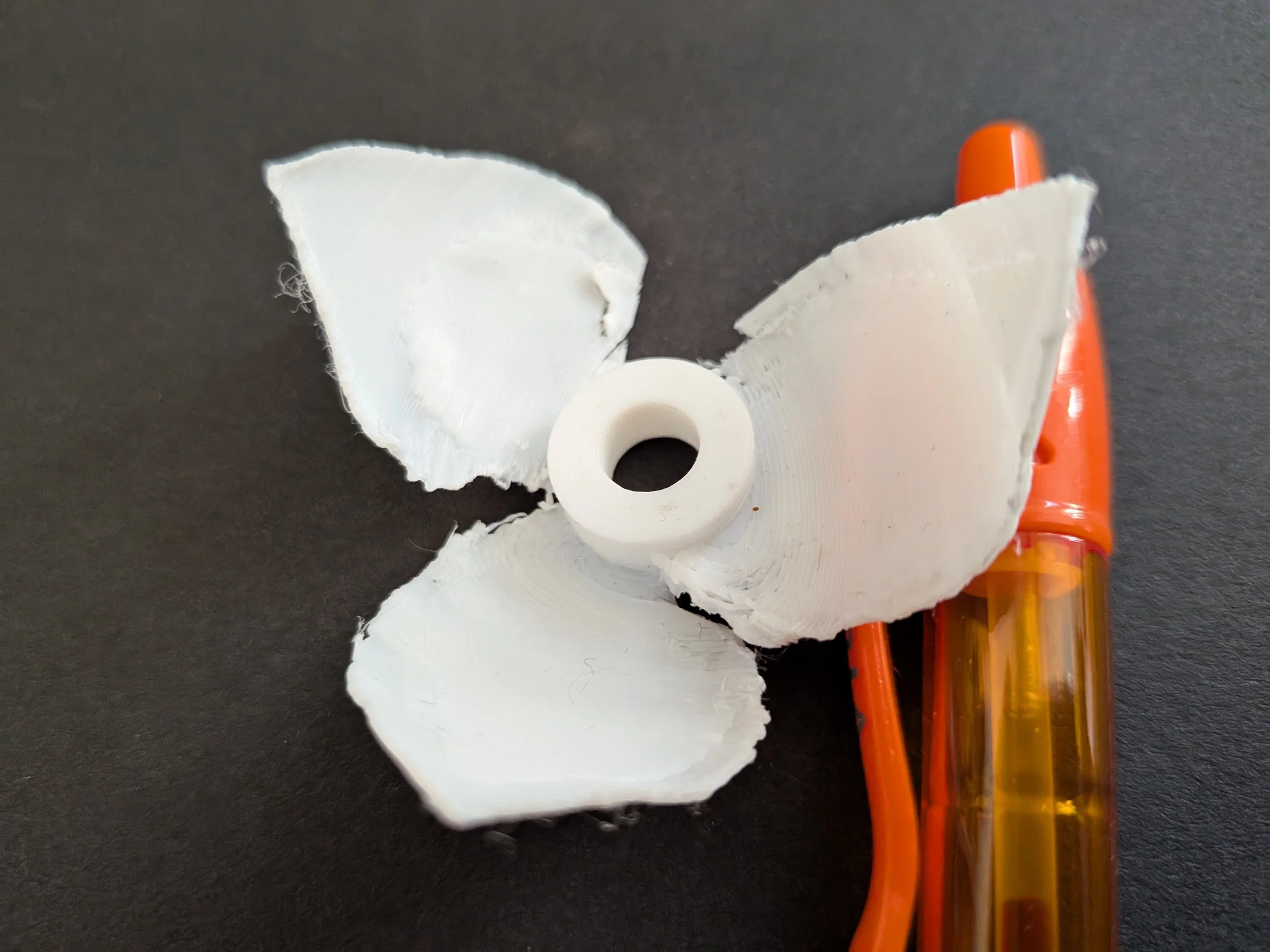 BE32 First Flower.jpg