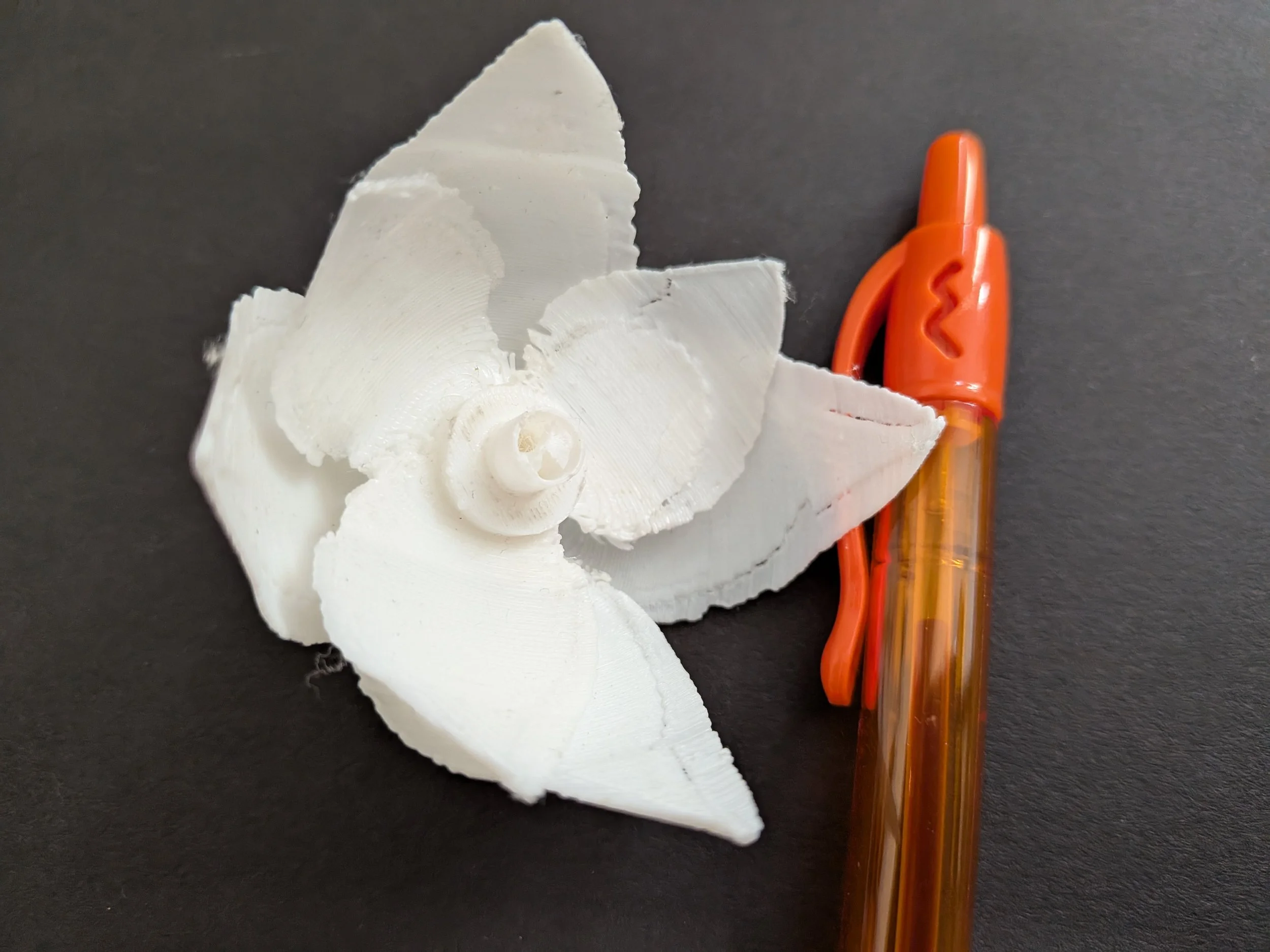 BE32 Second Flower.jpg