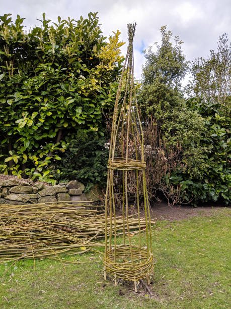 Willow Weaving Workshop