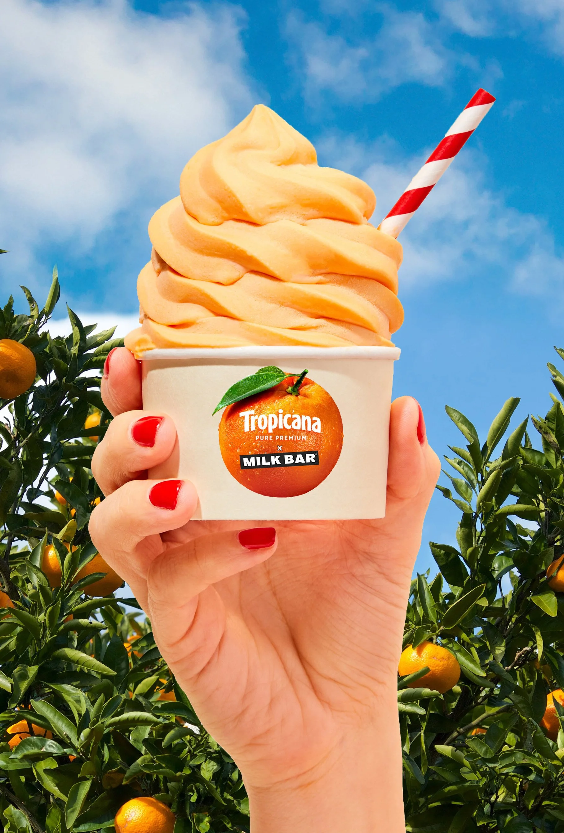 Milk Bar — Orange Delight