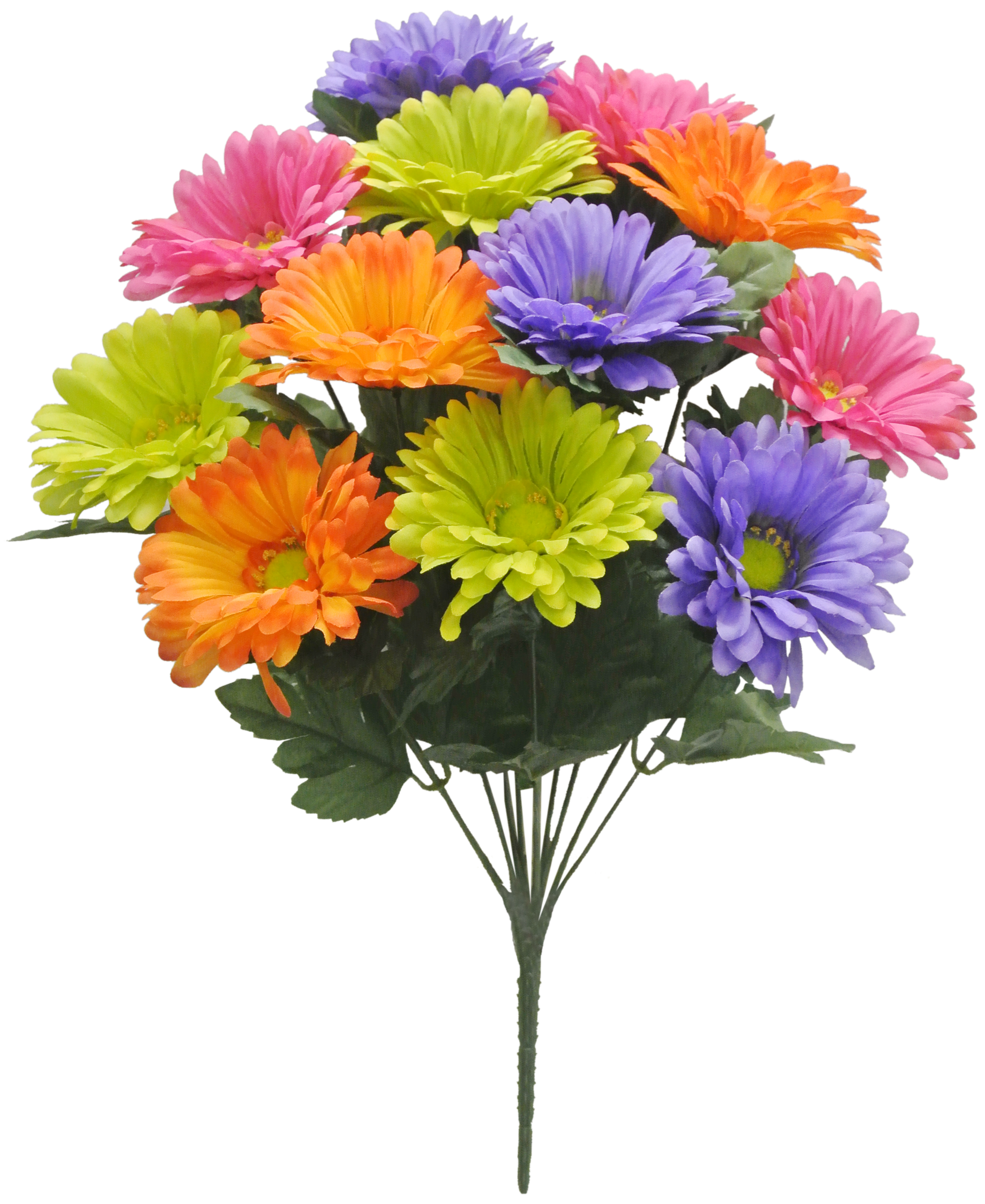 Fiesta Flowers