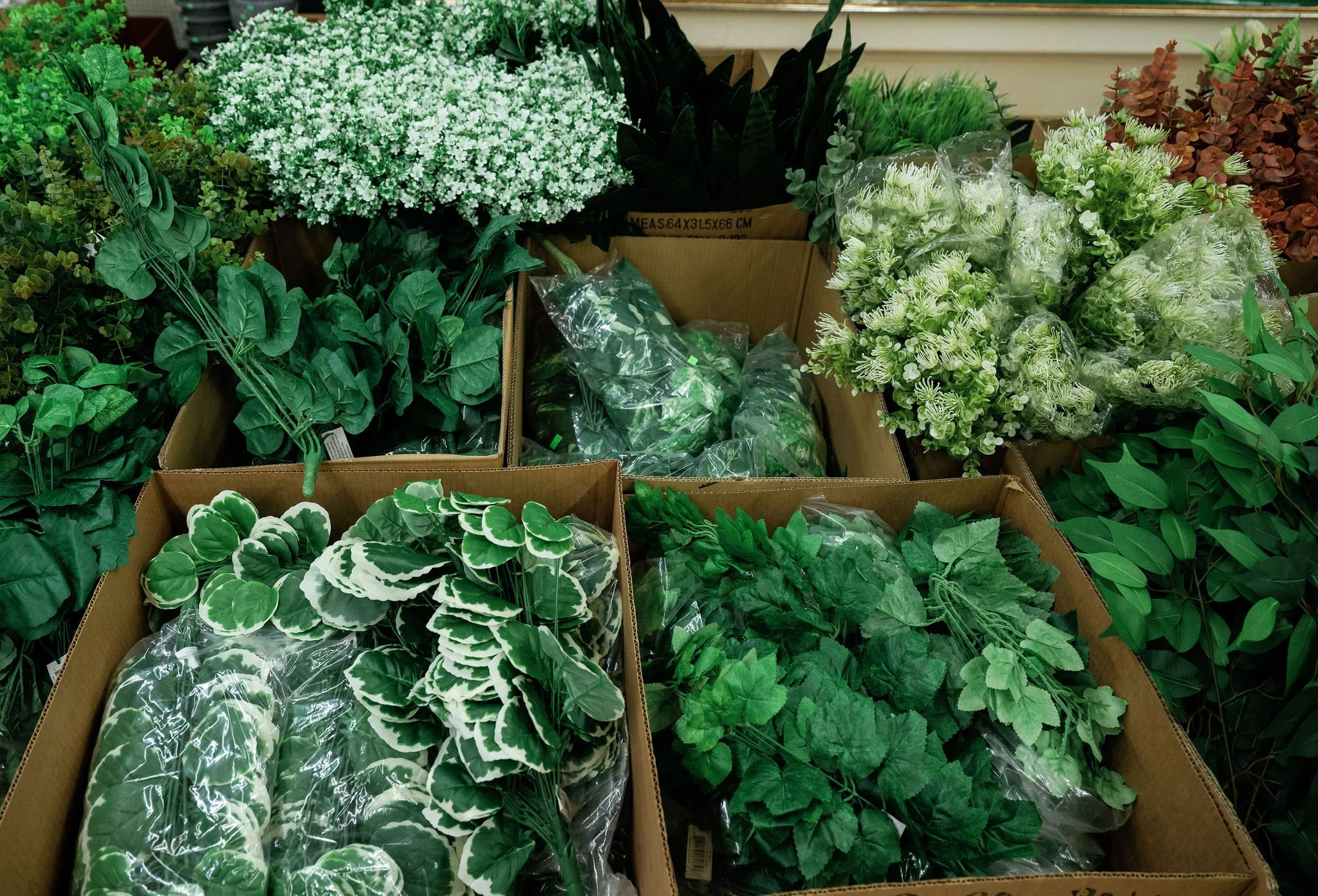 discountstore_greenery