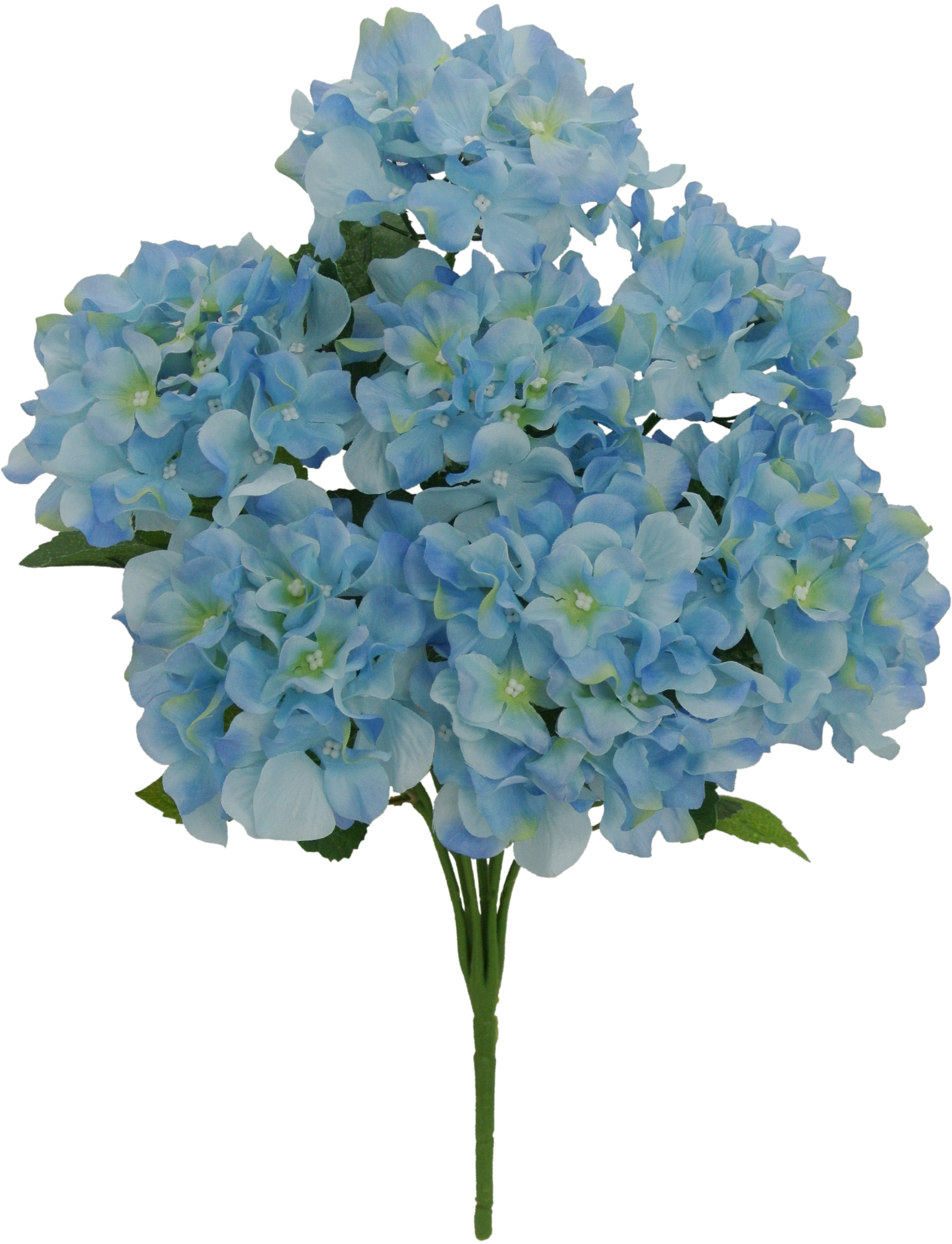 Fall Flower 42