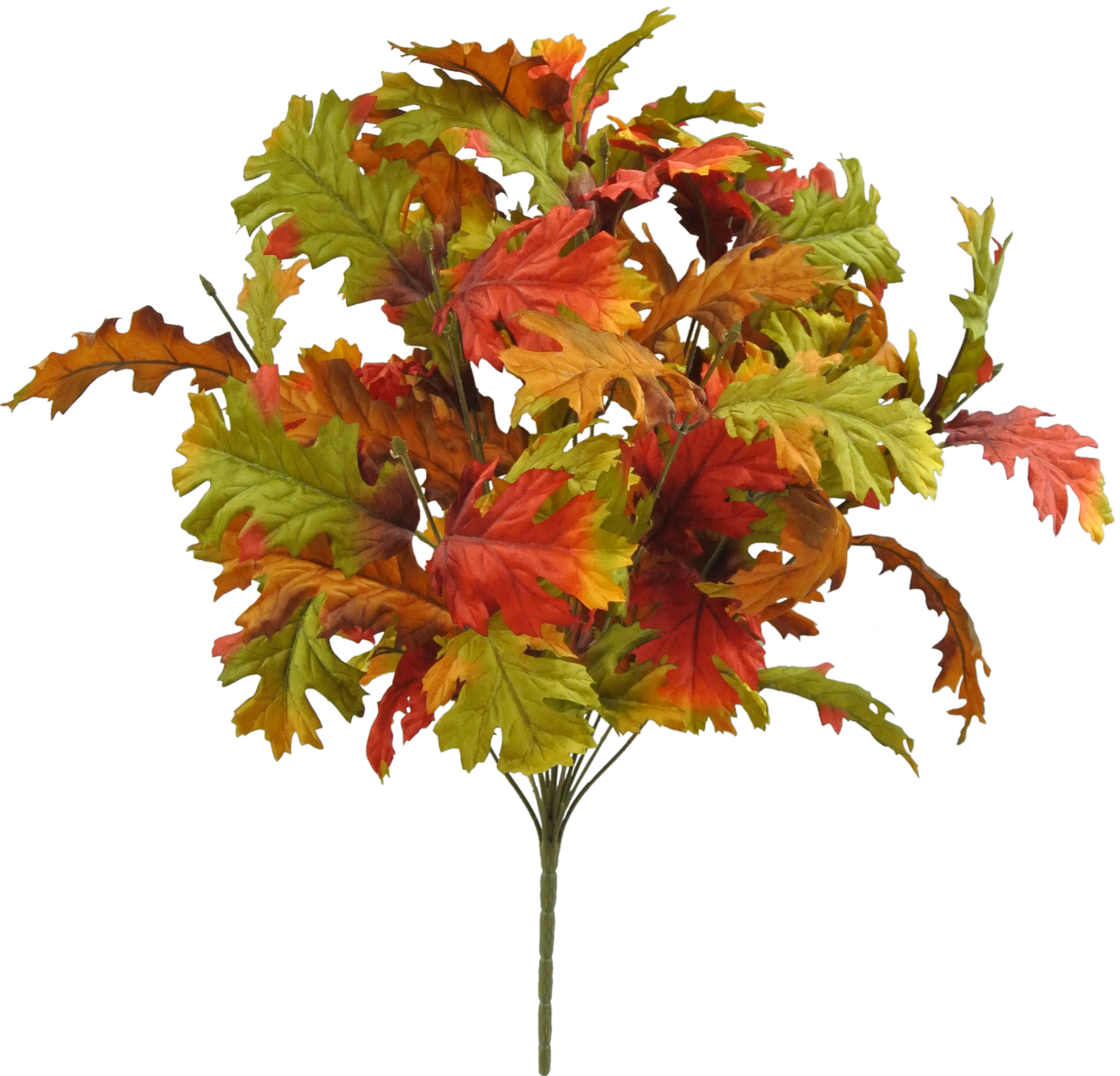 Fall Flower 13