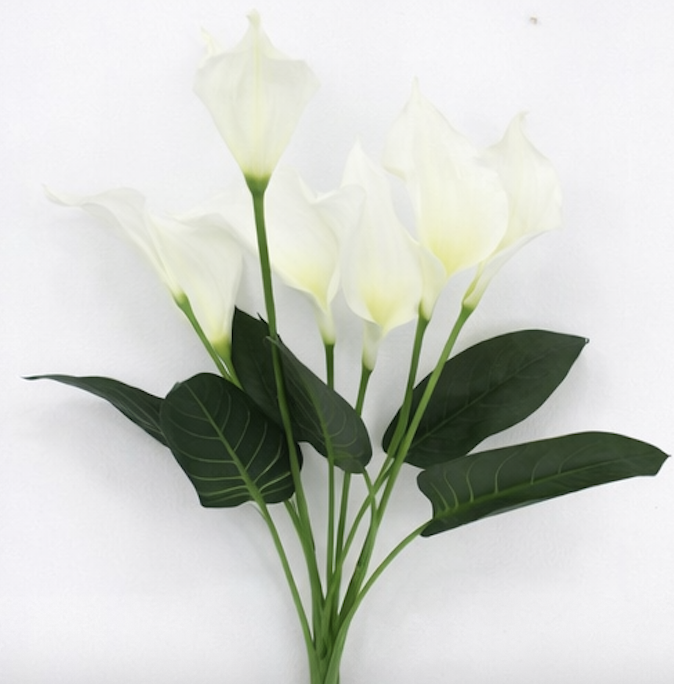 Screenshot 2026-01-14 at 2.57.08 PM.png