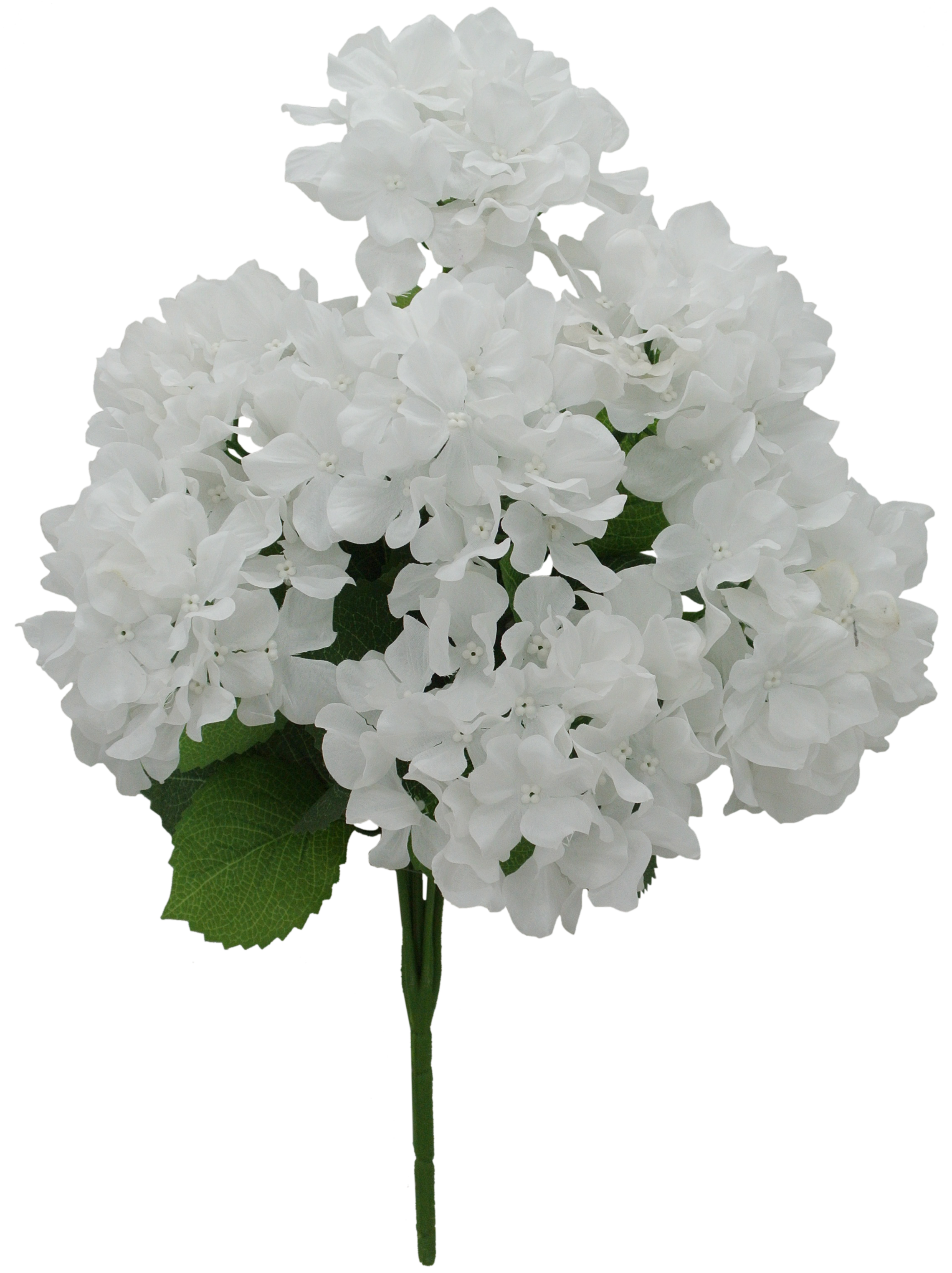 Fall Flower 41