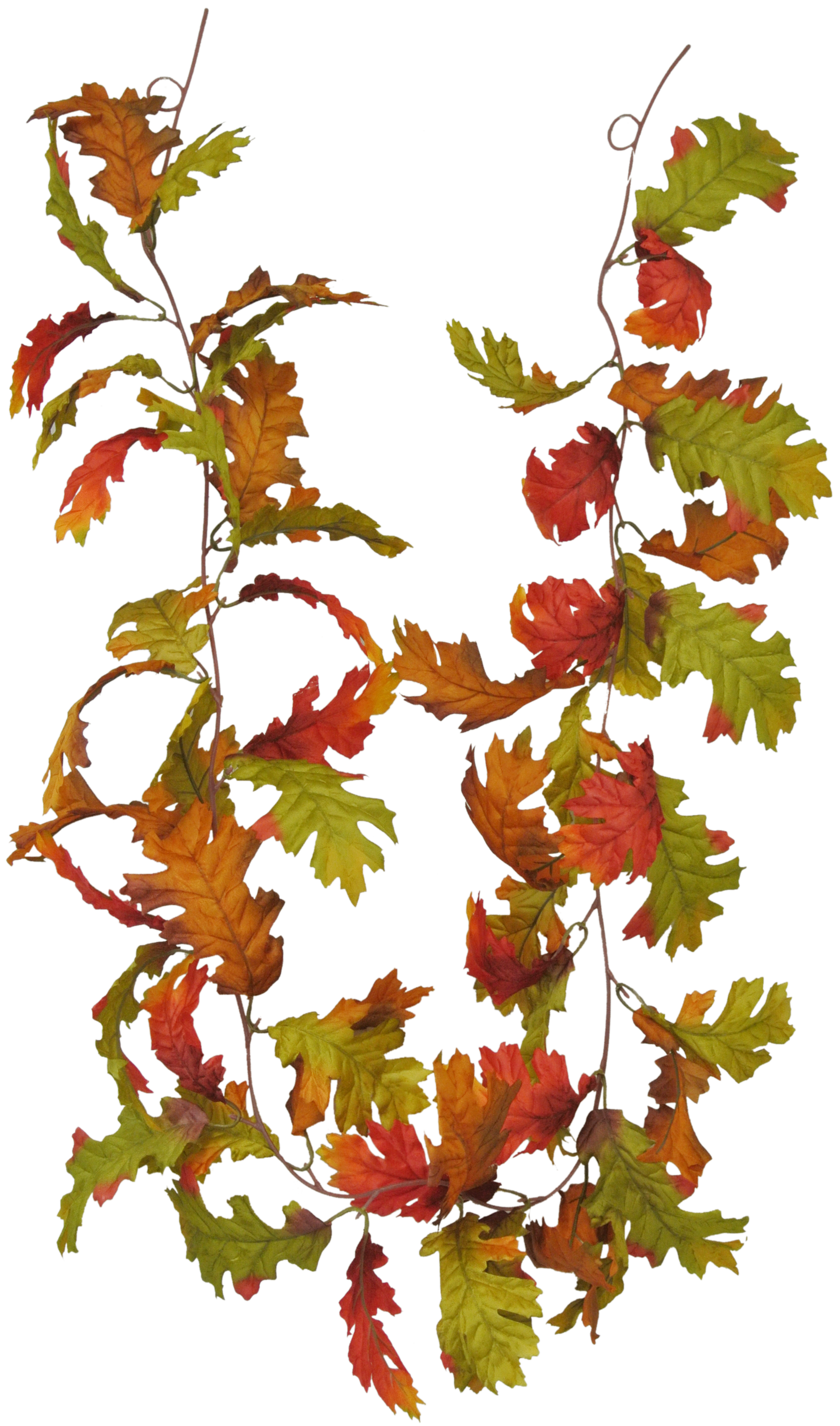 Fall Flower 8