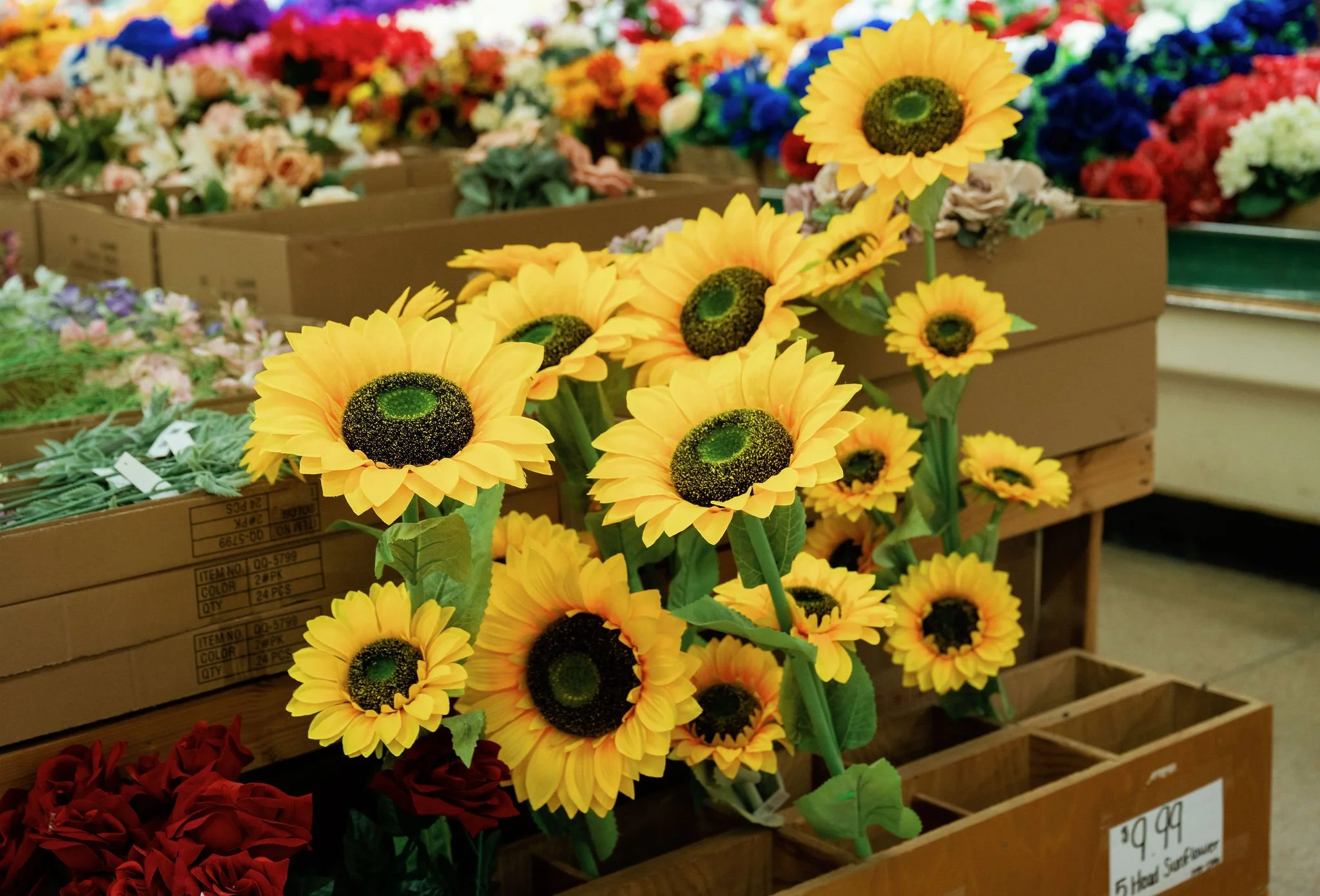 discountstore_sunflower