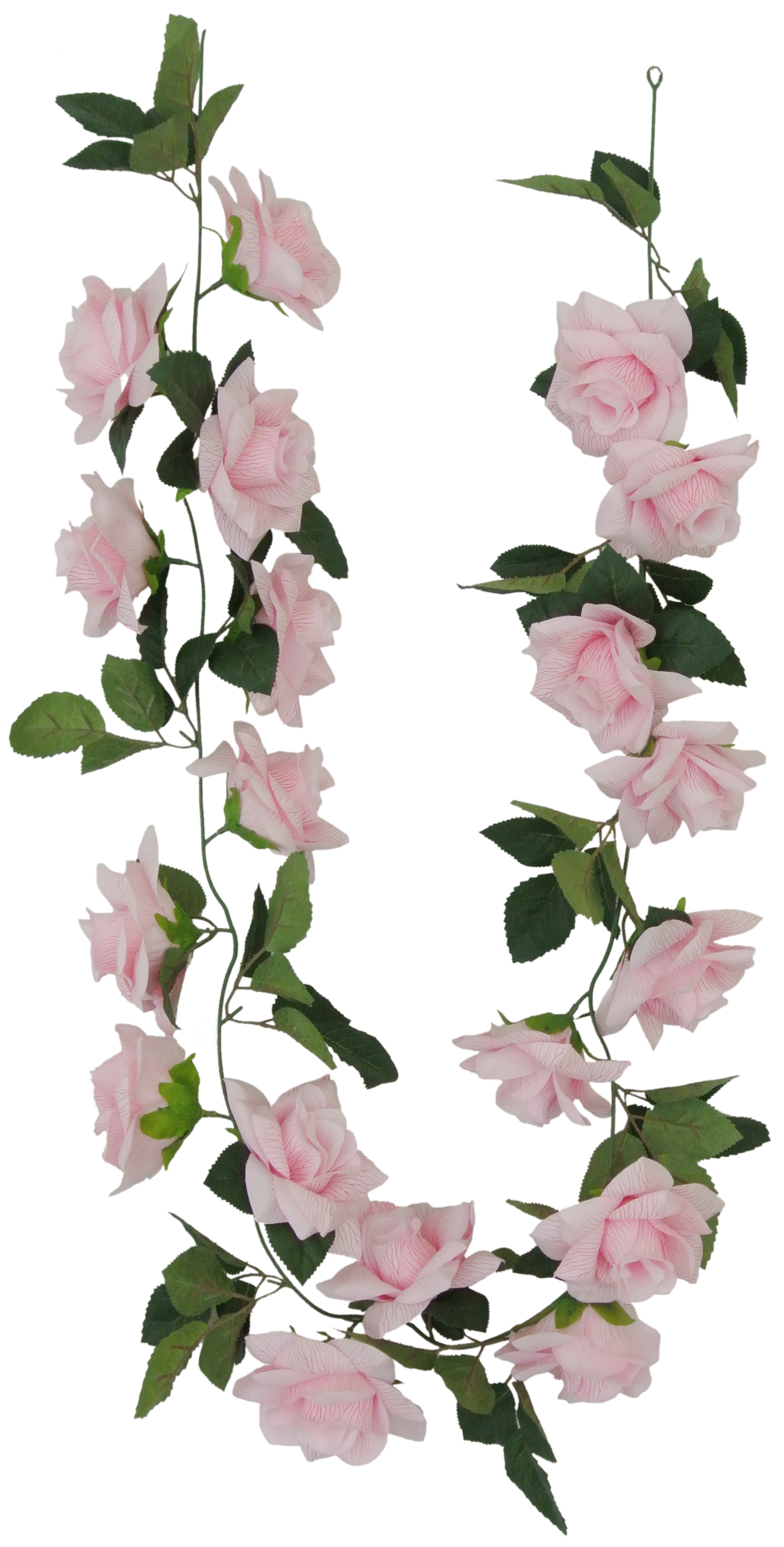 Fall Flower 4