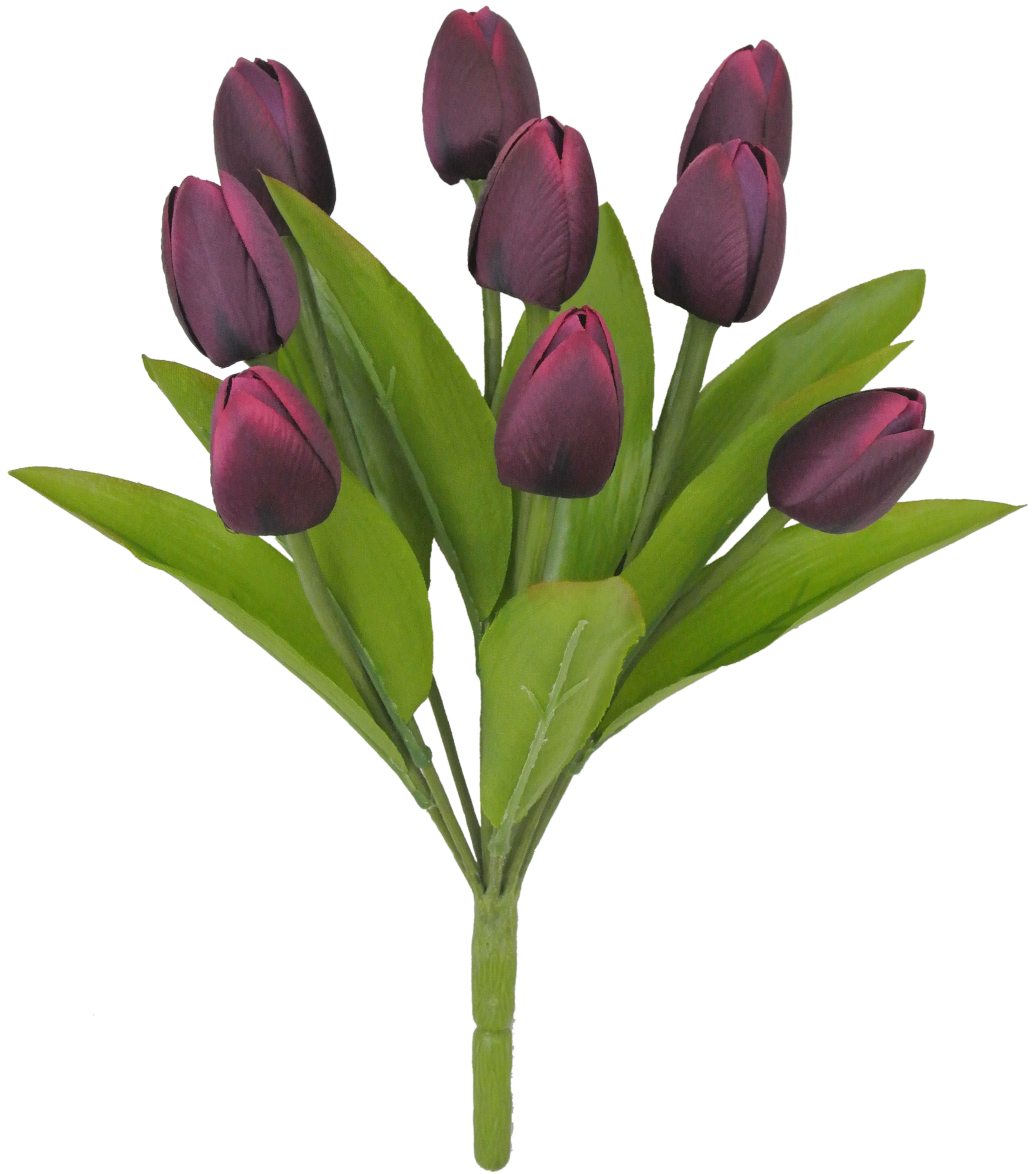 Fall Flower 17