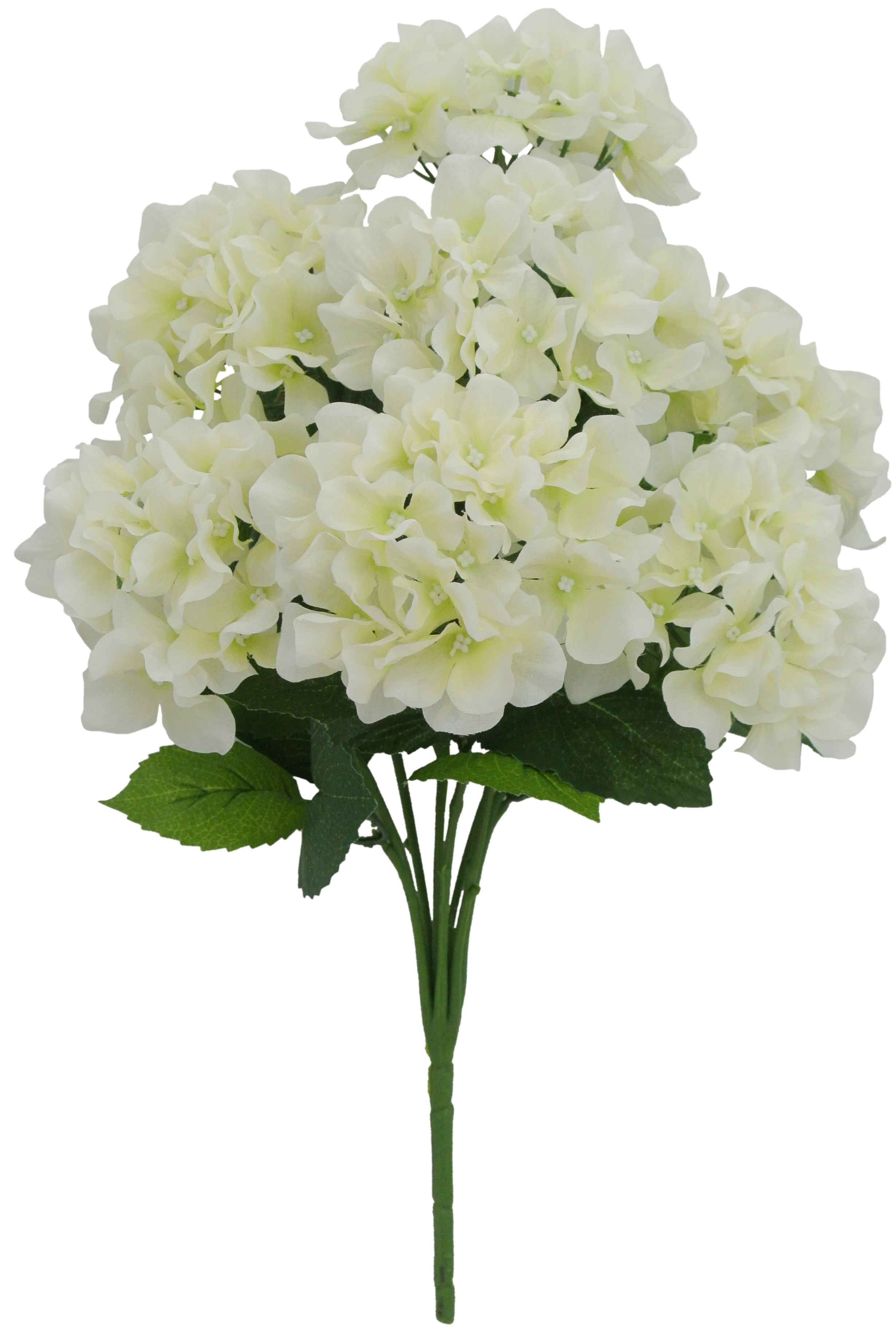 Fall Flower 40