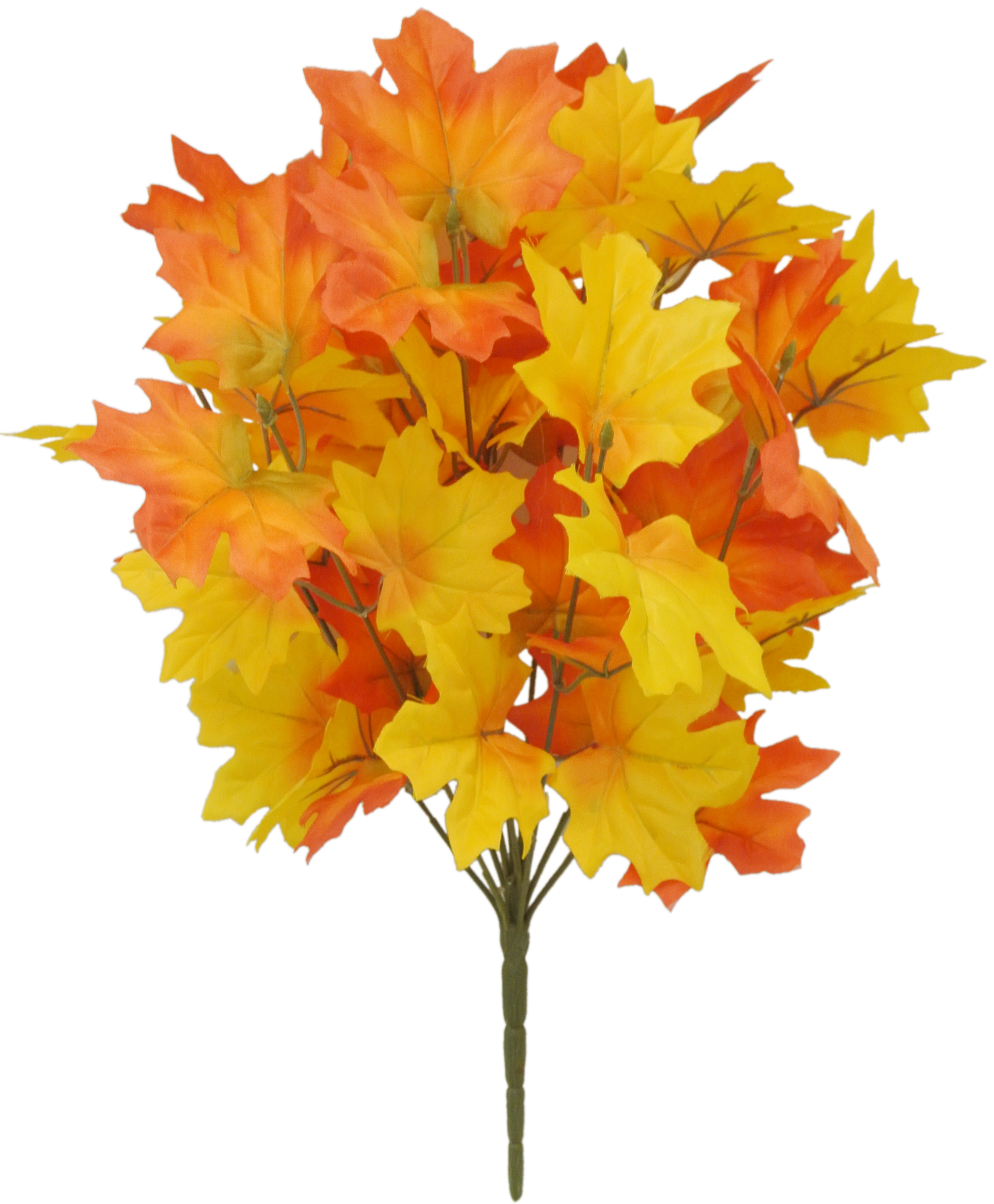 Fall Flower 11