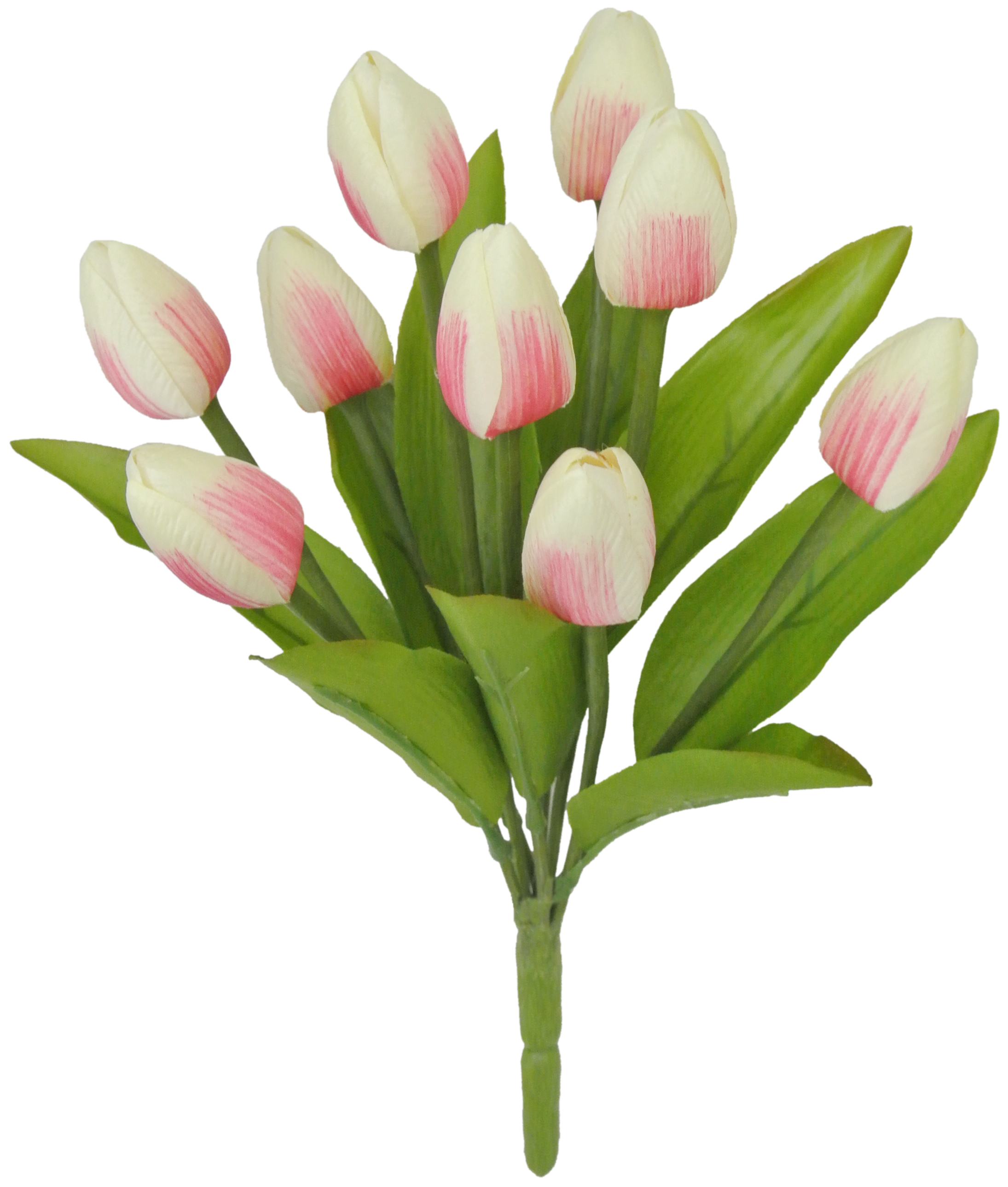 Fall Flower 16