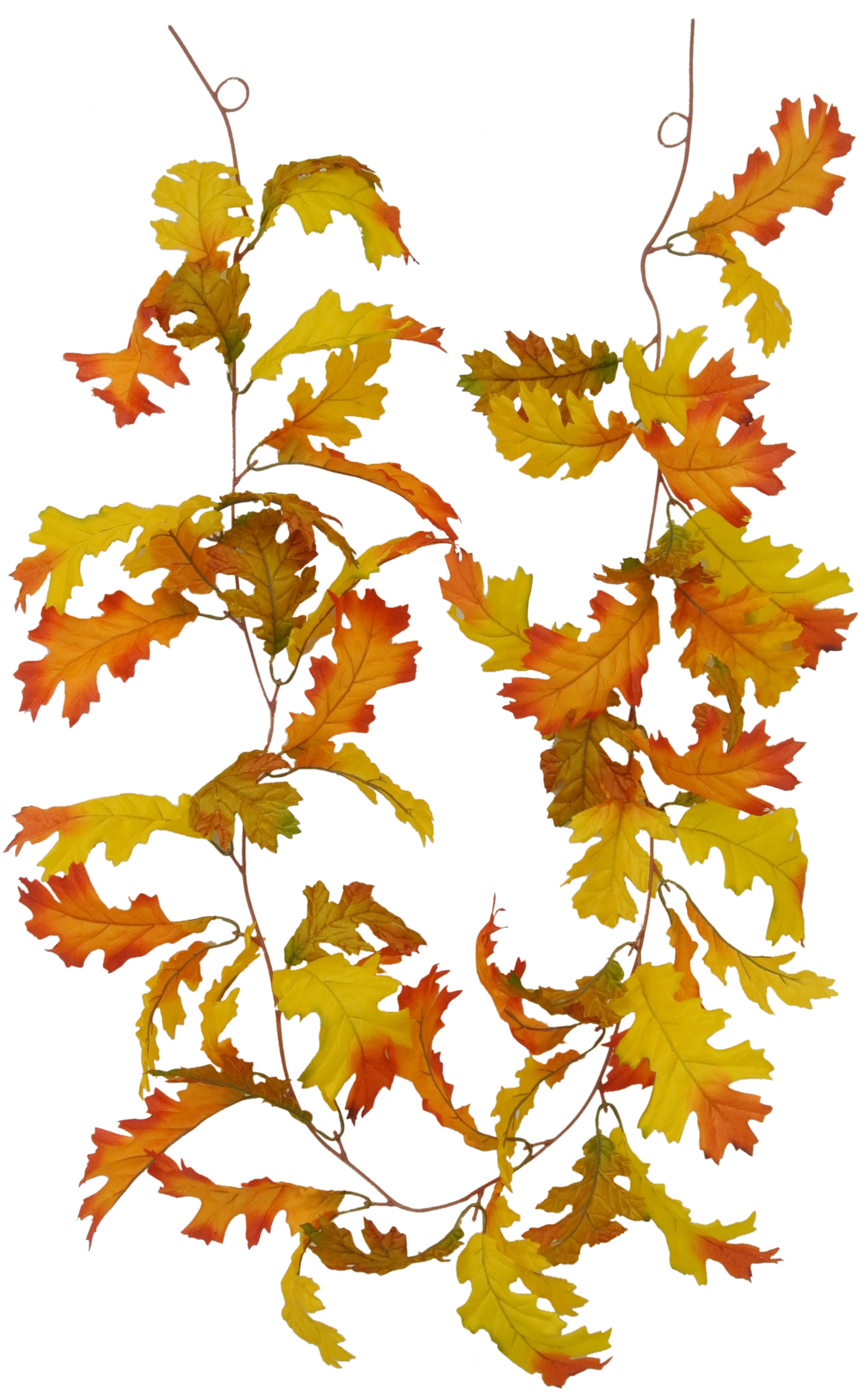 Fall Flower 9